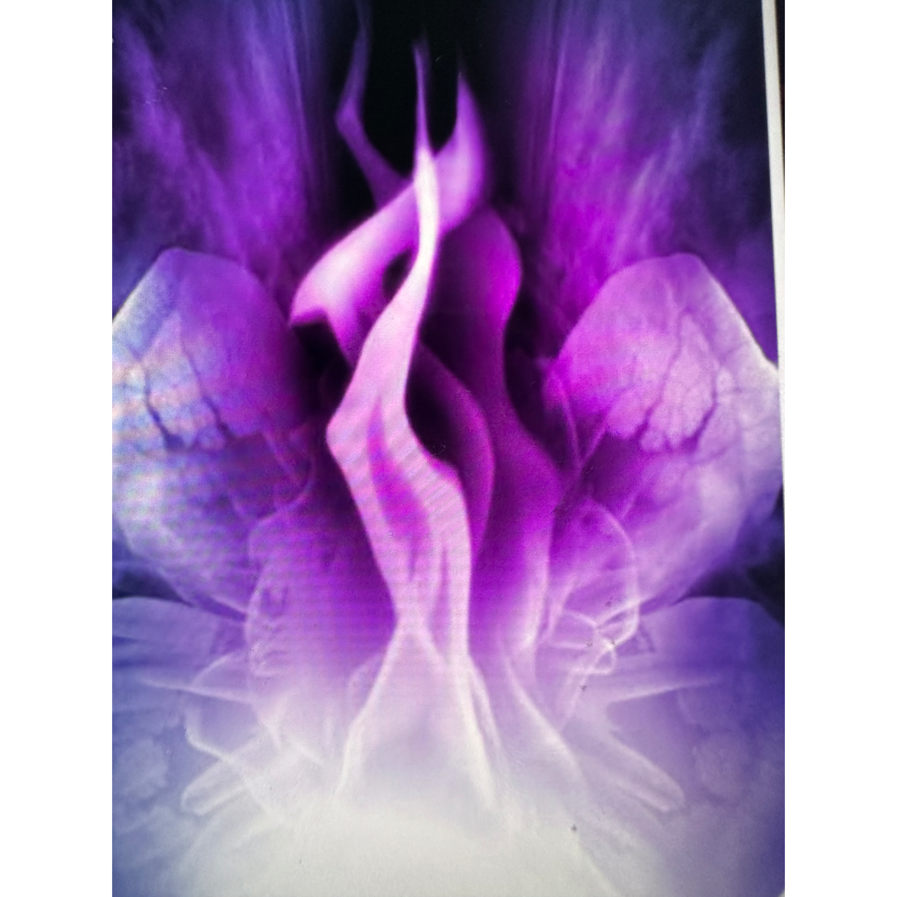Misused words actions and Energies Retuned to  Sender  episode artwork