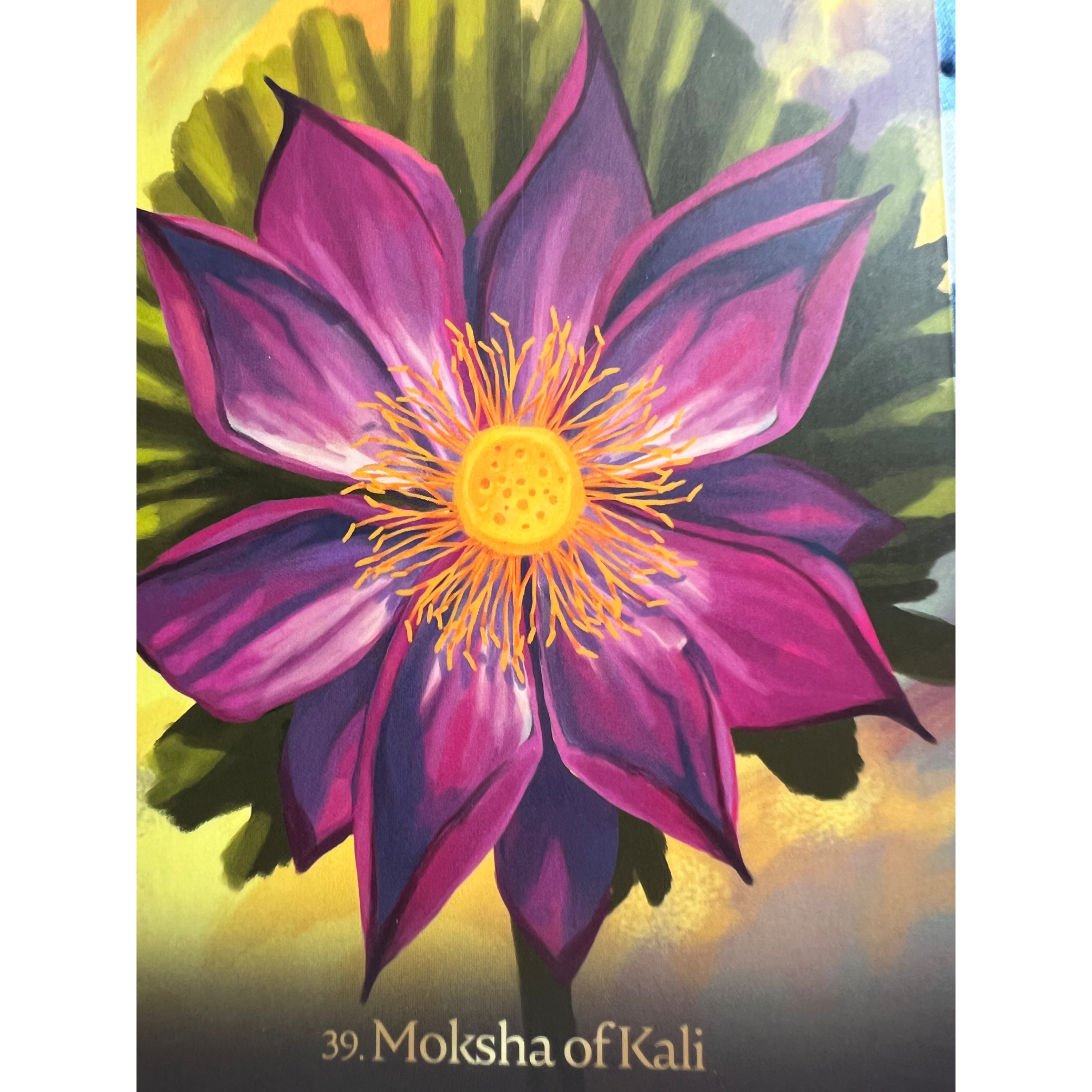 Mother of Compassion Peace and Destroyer of illusion episode artwork