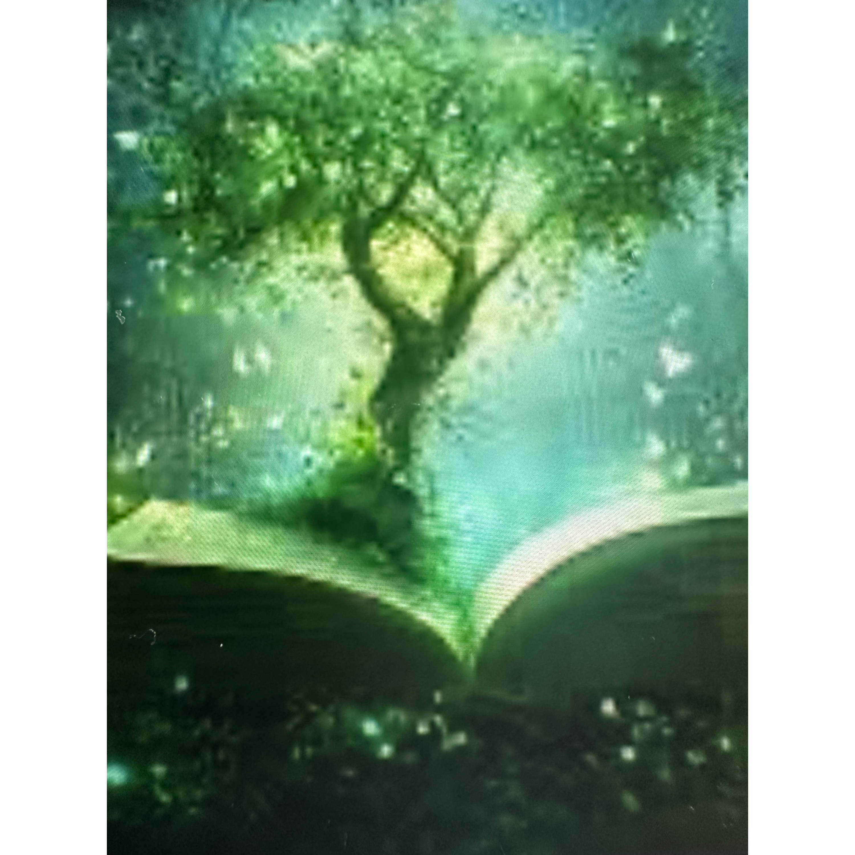 Lady of Blessings Bestowed  ~ Harmony and Grace  episode artwork