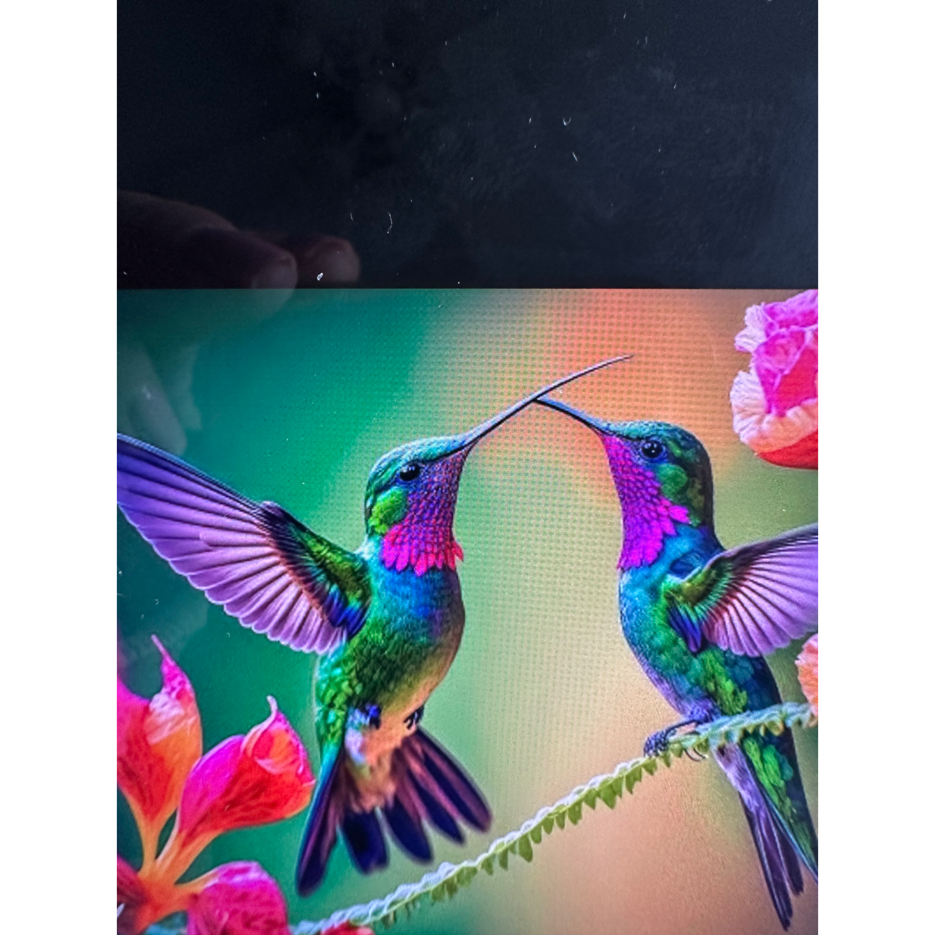 One Hit Wonder ~life’s Moments ~Systems ~Tears and Creativity 