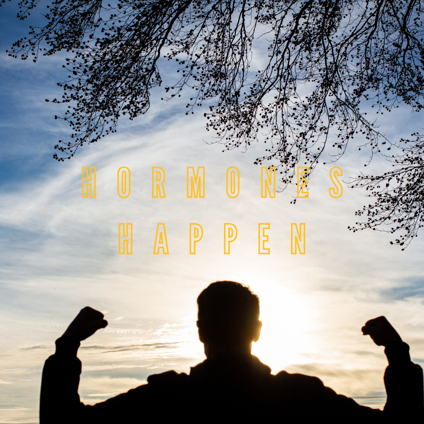 Hormones Happen