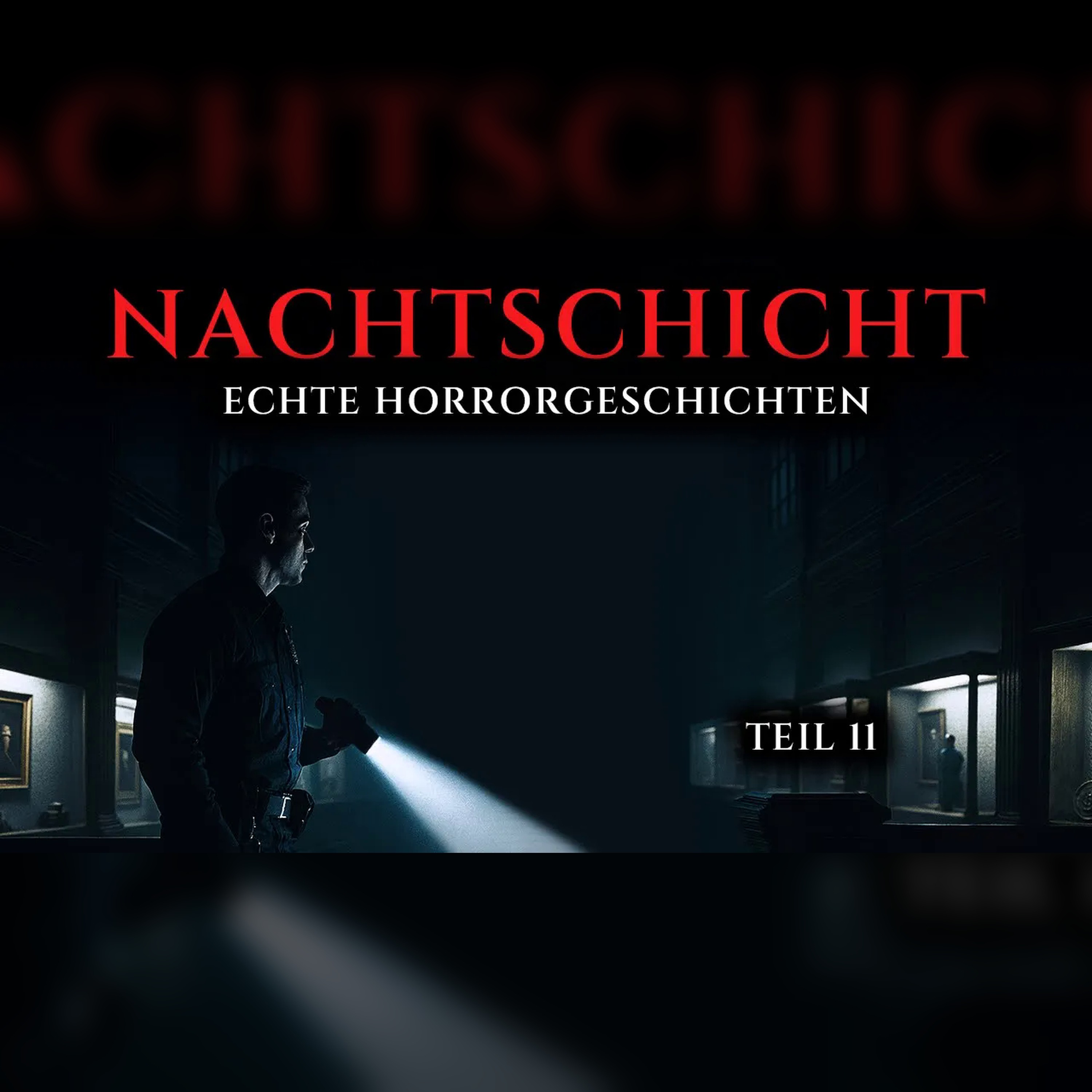 Wahre Horrorgeschichten aus der Nachtschicht – Teil 11 episode artwork