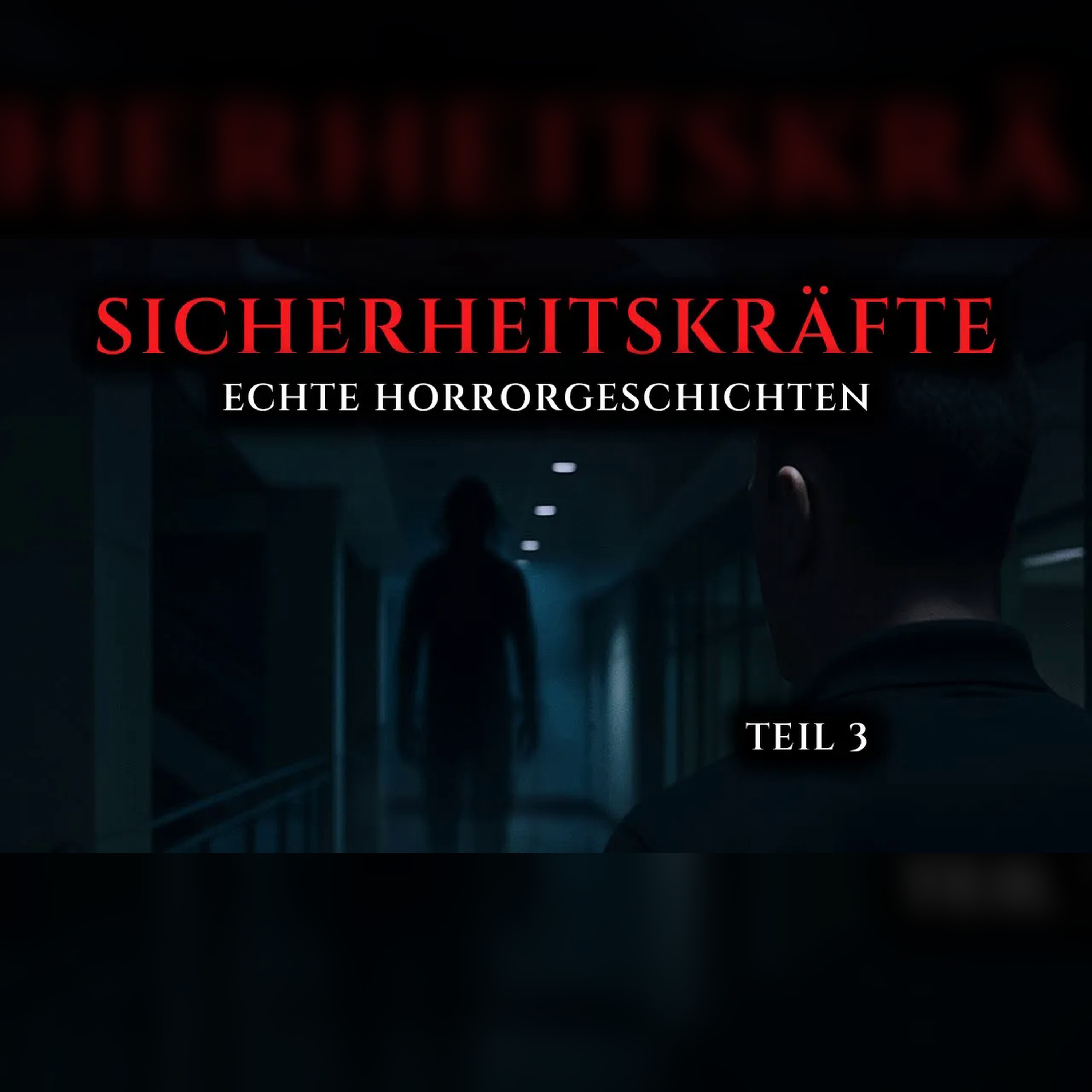 Wahre Horrorgeschichten von Sicherheitskräften Teil 3 episode artwork