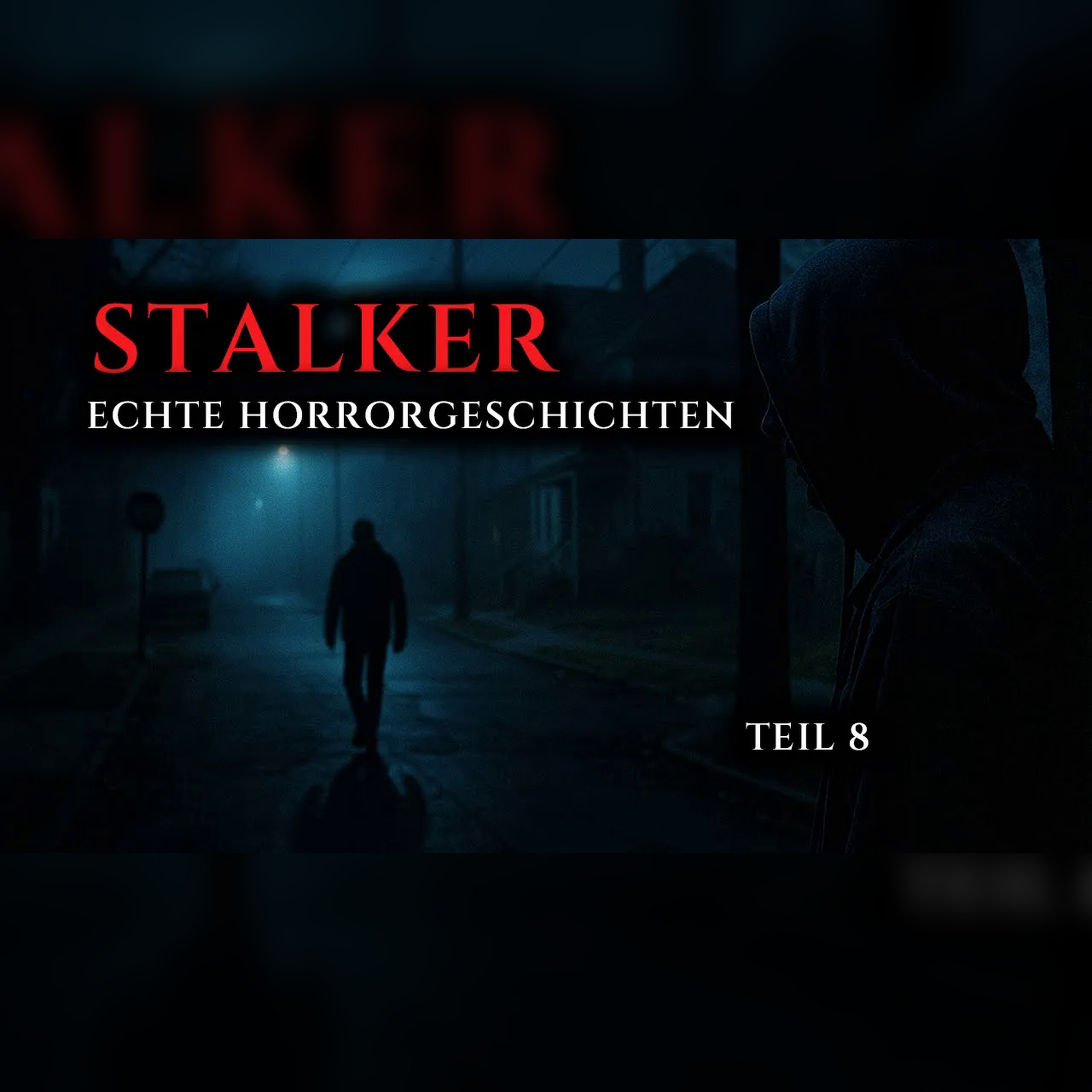Wahre Stalker-Horrorgeschichten: Teil 8 | Echte Fälle episode artwork
