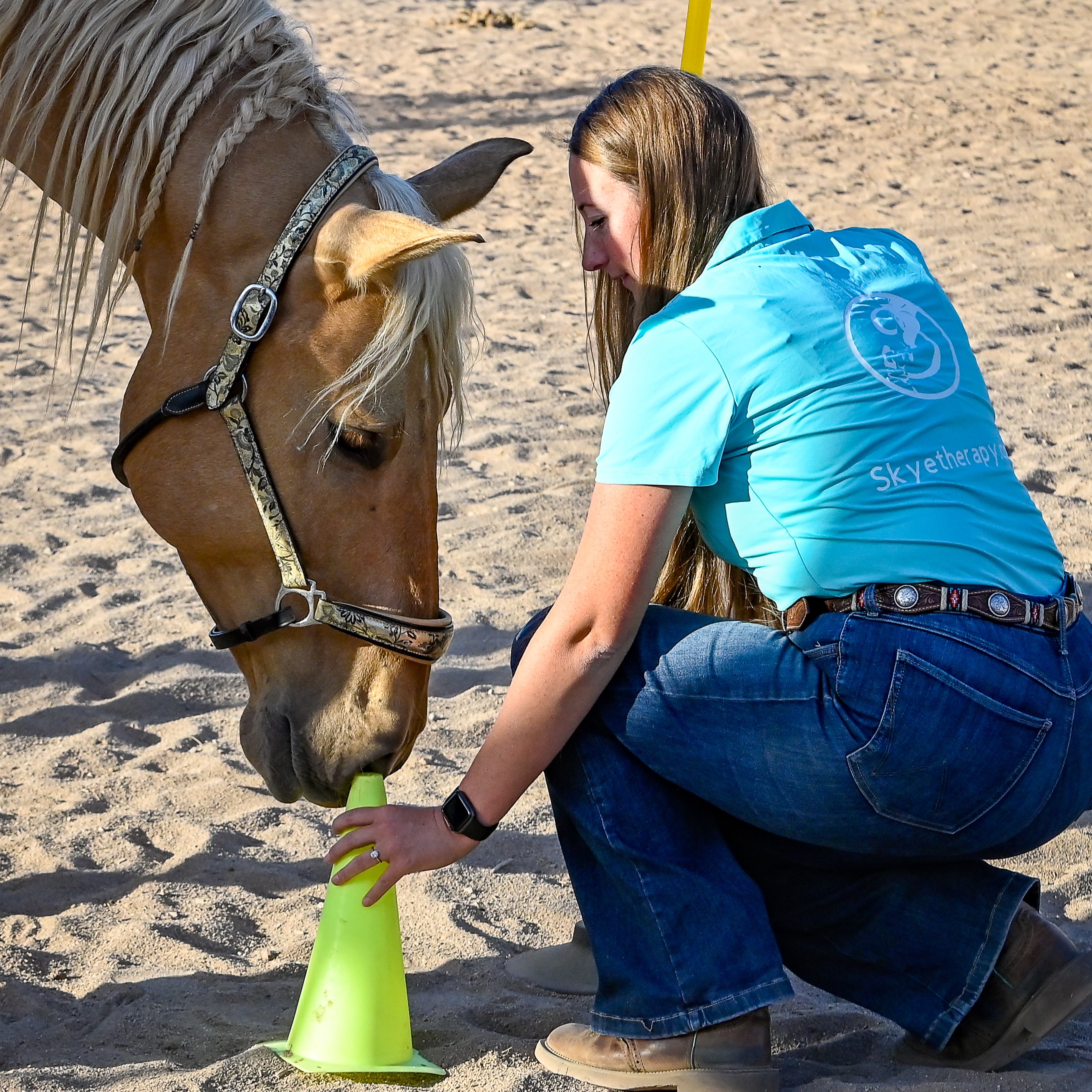 Horses as Healers