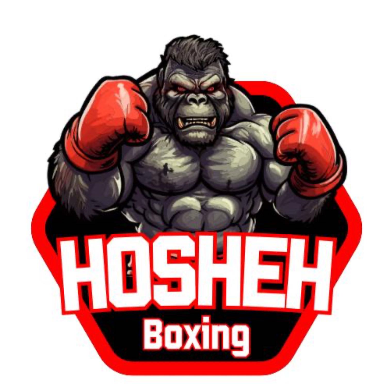 Hosheh Boxing #4 - لقاء مميز مع بطل الملاكمة أحمد البيالي