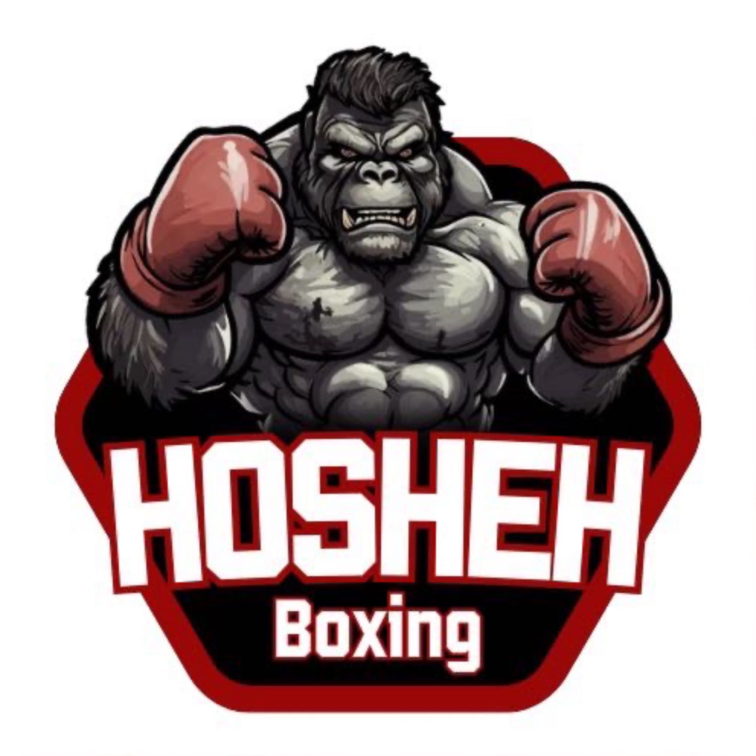 Hosheh Boxing #14 - جوشوا ضد نجانو