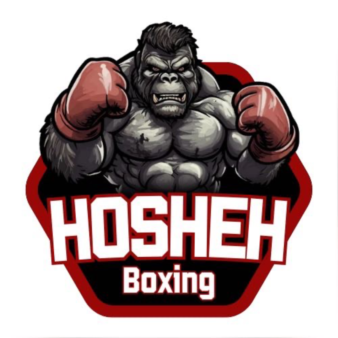 Hosheh Boxing #16 -  تأجيل نزال فيوري ضد اوسك ونظرية المؤامرة