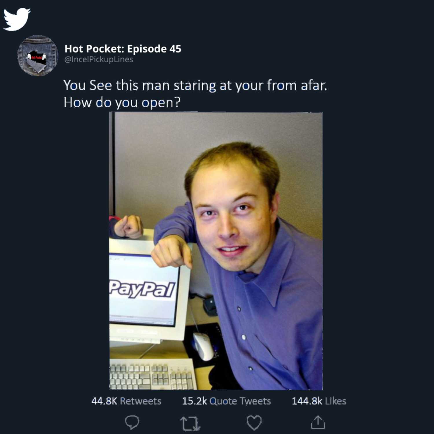 Hot Pocket