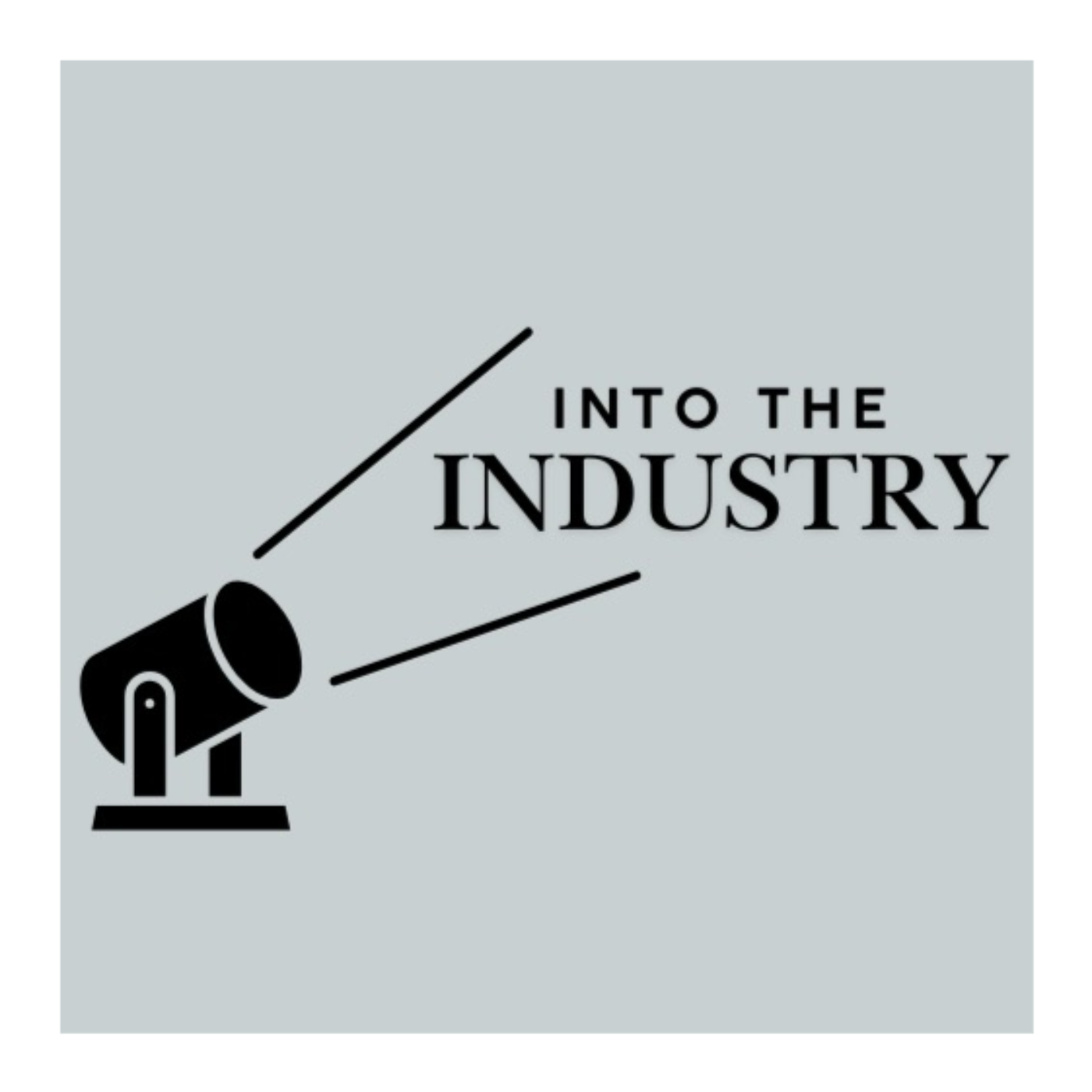 Into The Industry