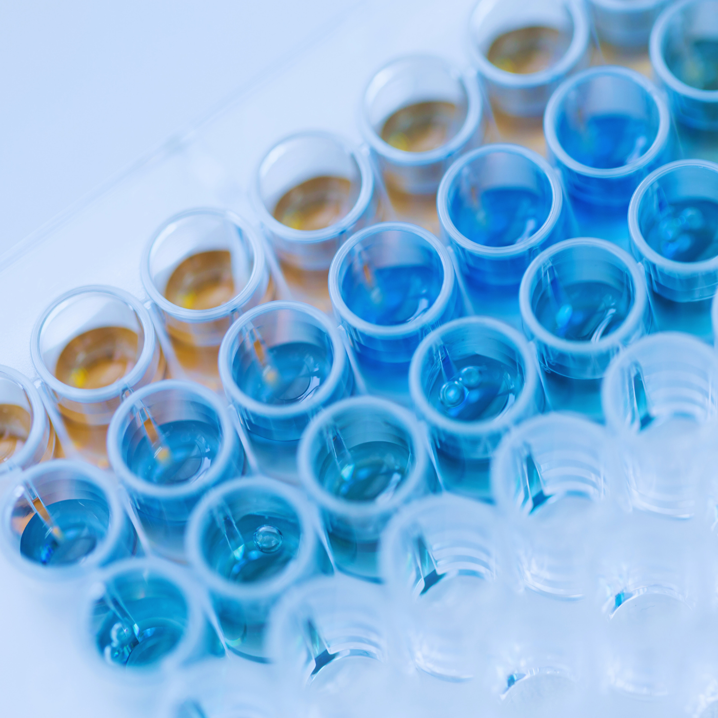 How 96-Well Assay Plates Are Revolutionizing Scientific Research