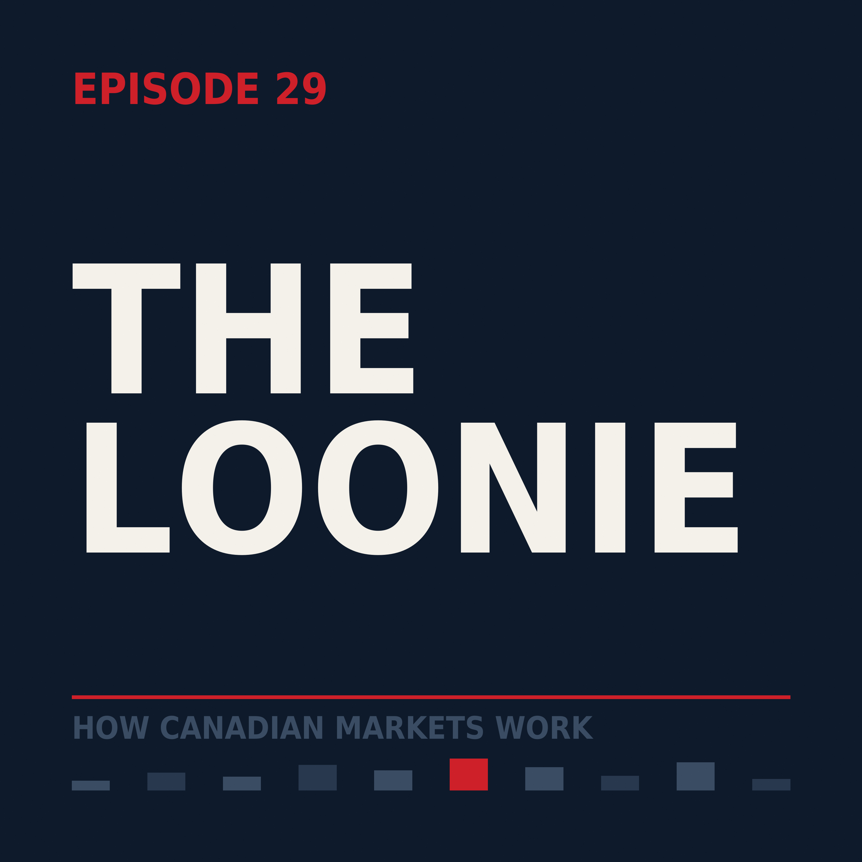 Episode 29: The Loonie (The Textbook Relationship Decays) episode artwork