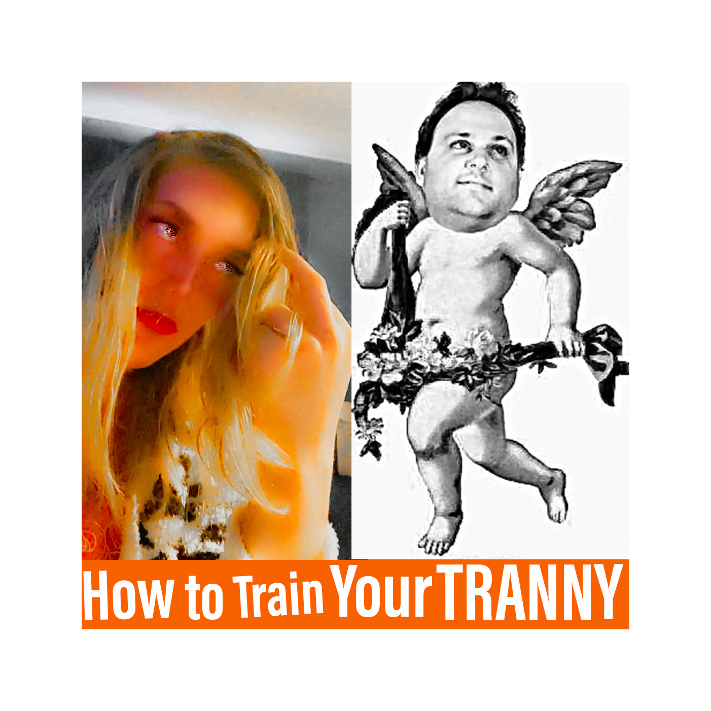 How to Train Your TRANNY