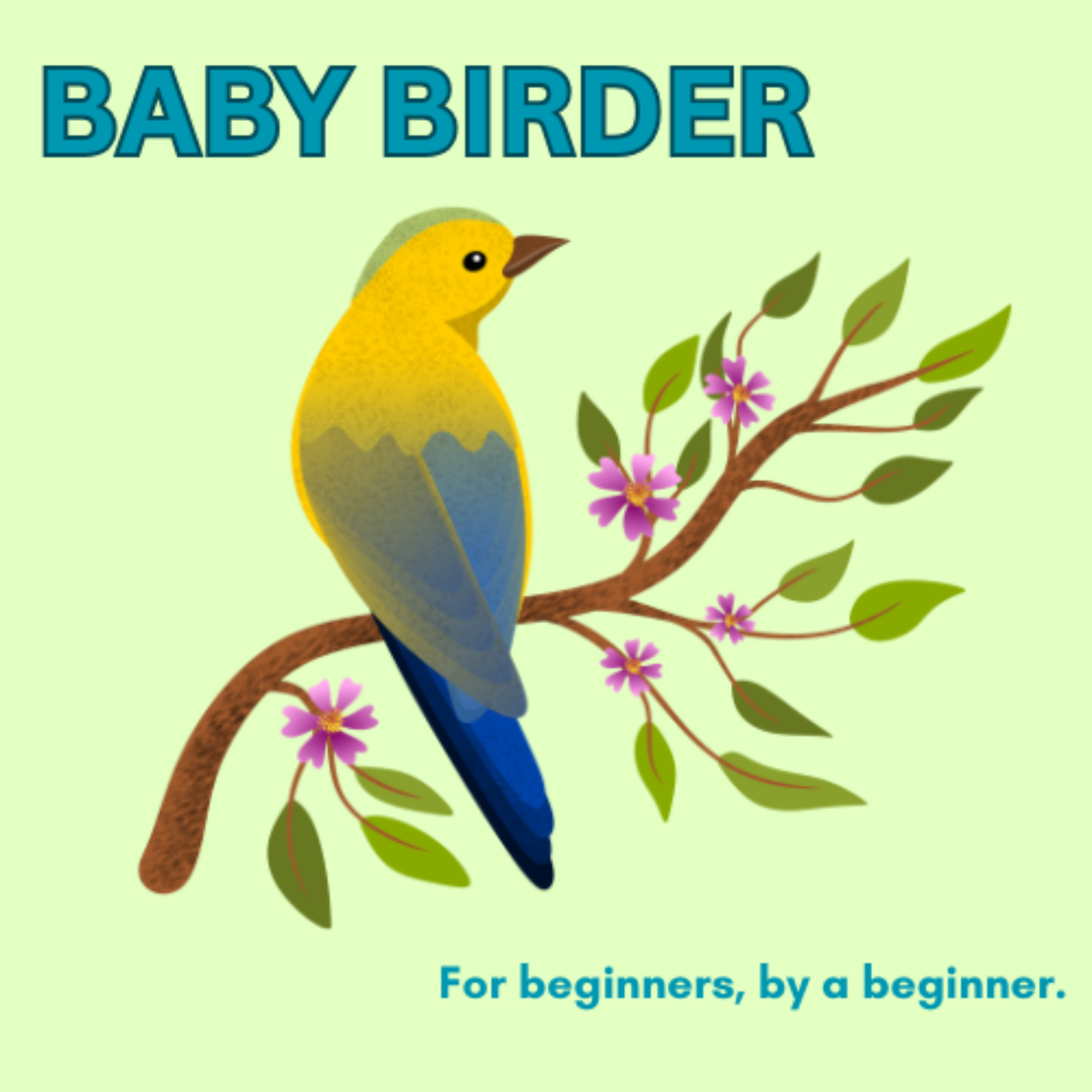 Baby Birder 