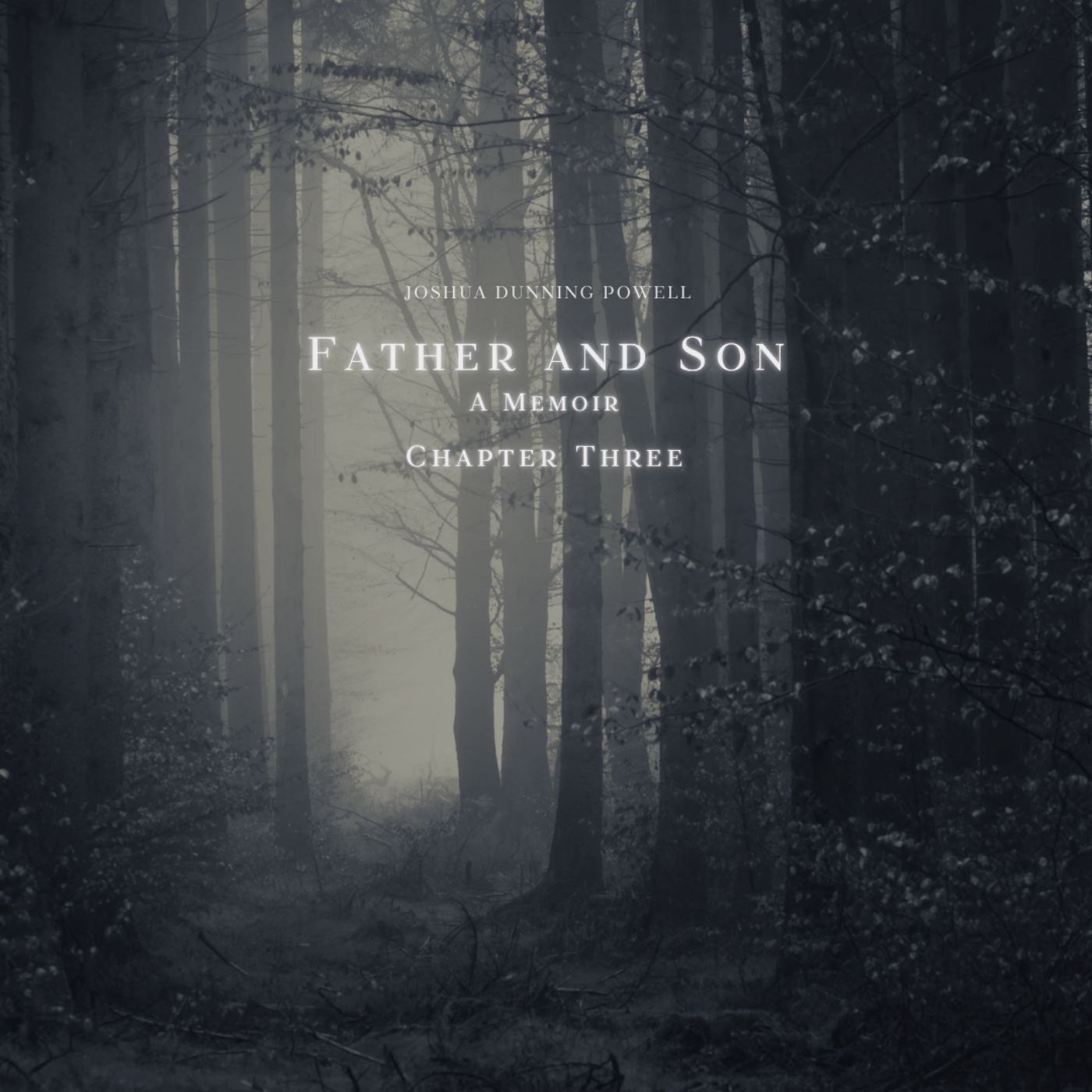 Father and Son. The Podcast. Chapter Three. episode artwork