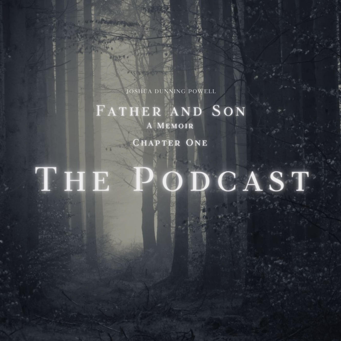Father and Son. The Podcast. Chapter One. episode artwork
