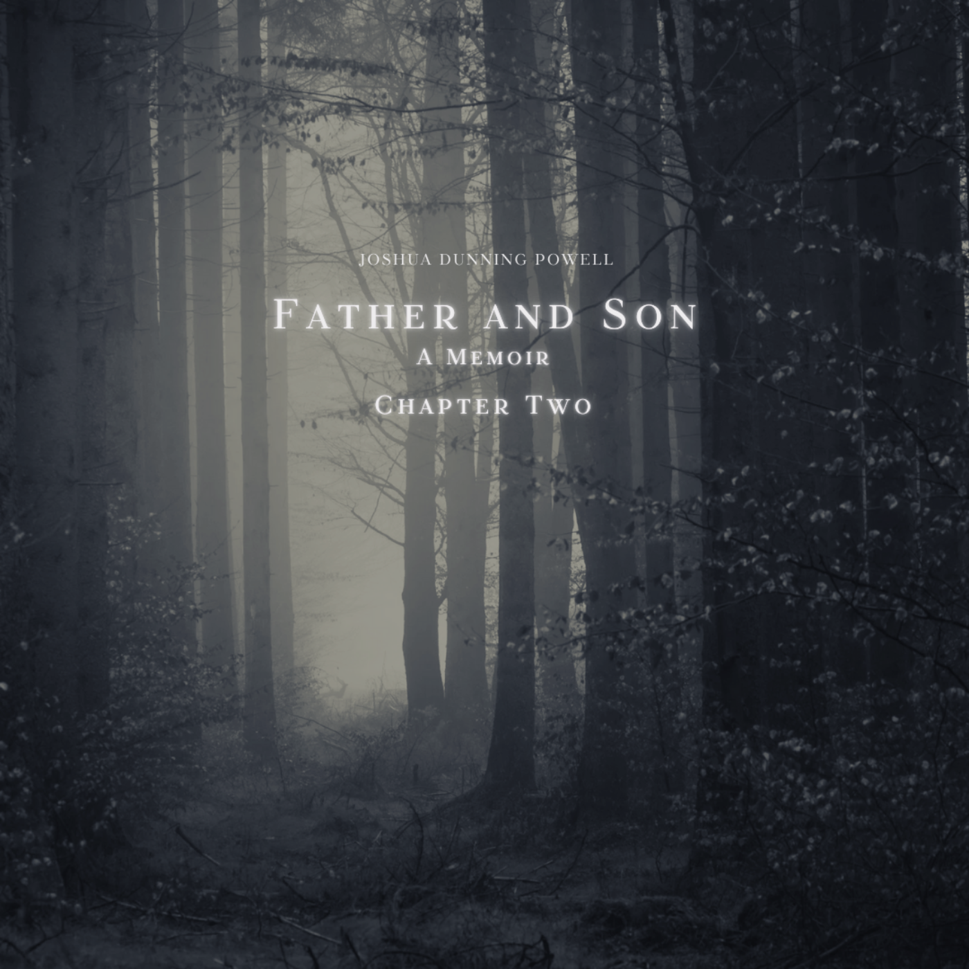 Father and Son. A Memoir. Chapter Two. episode artwork