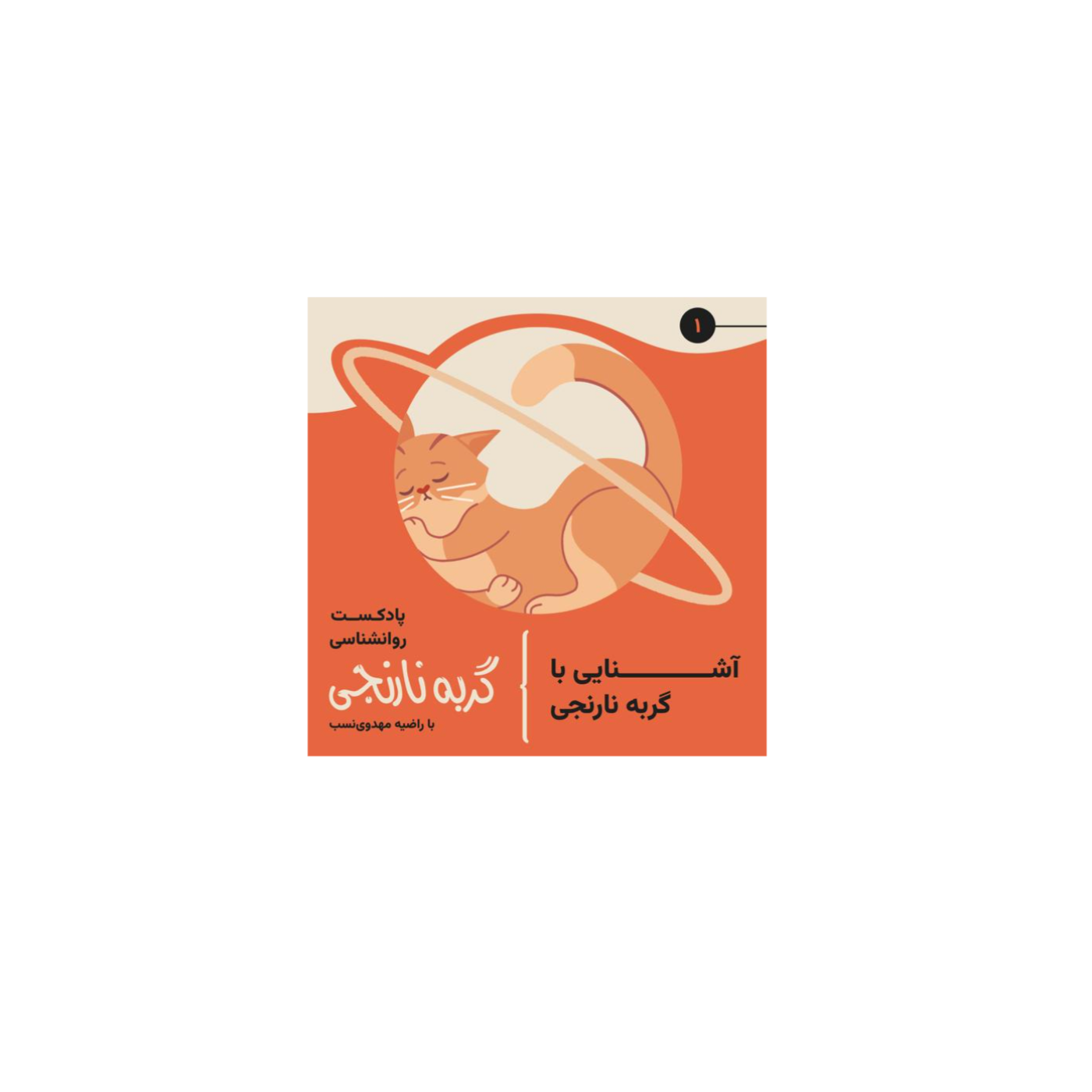 سلام از گربه نارنجی