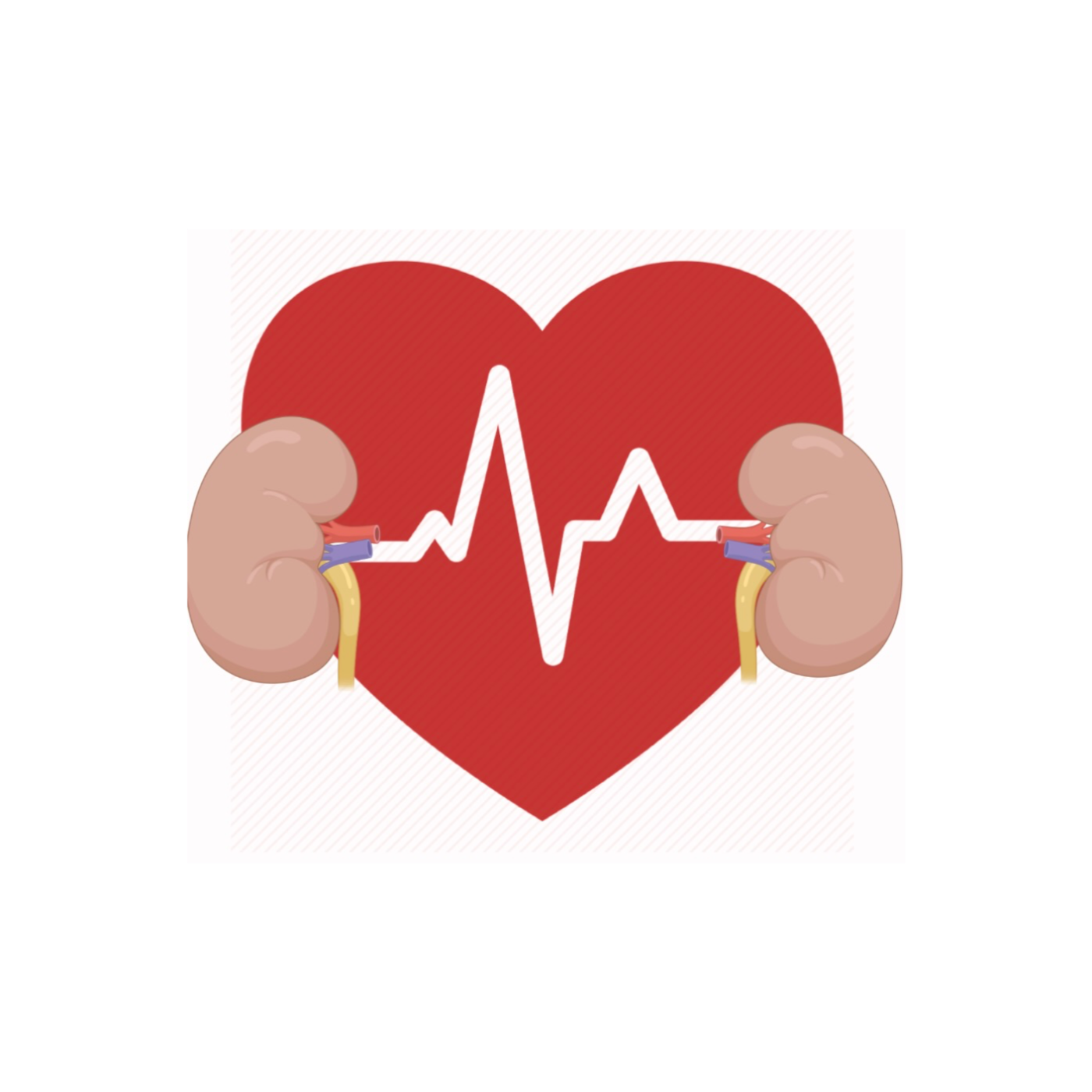 Pump the nephron