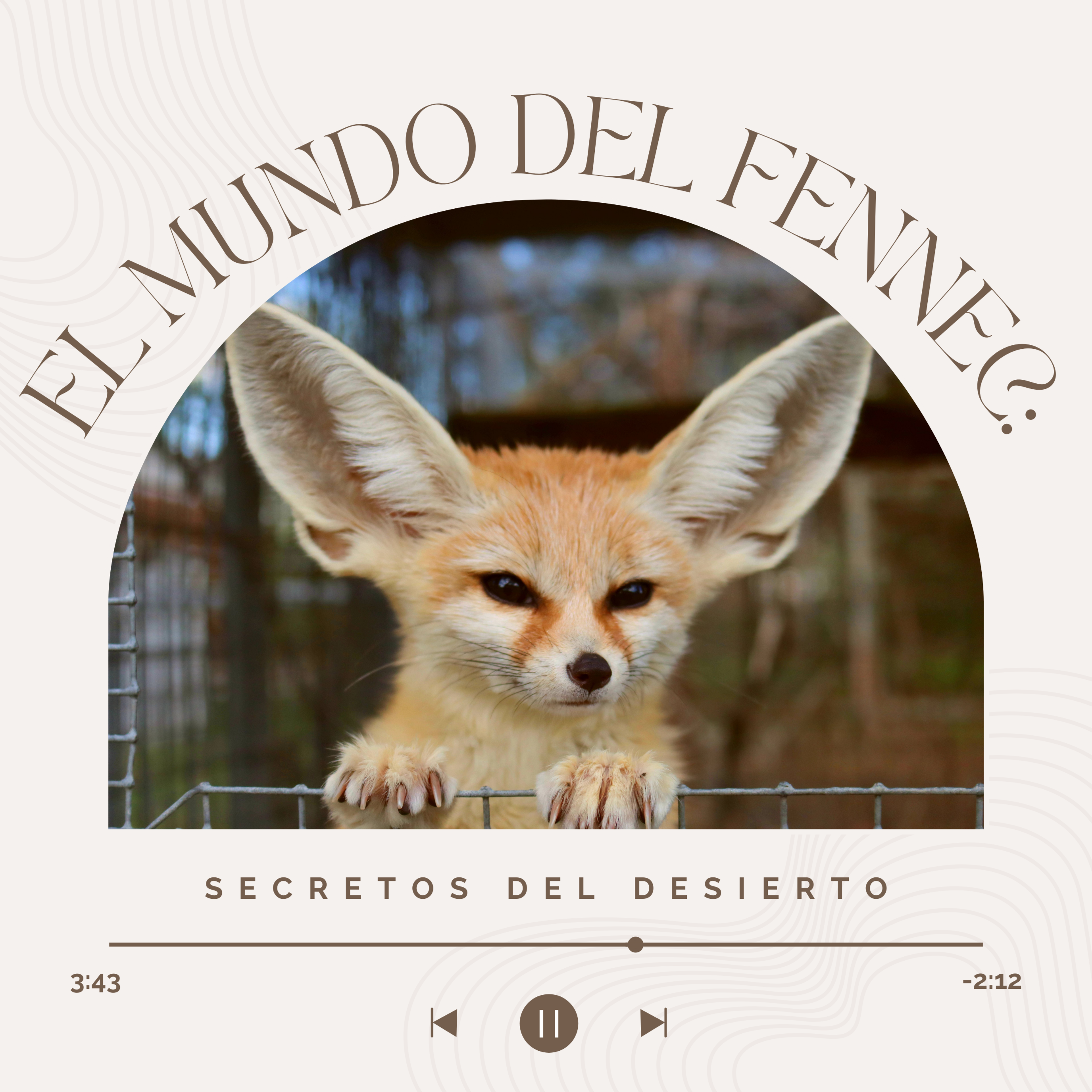 El mundo del fennec | Secretos del desierto