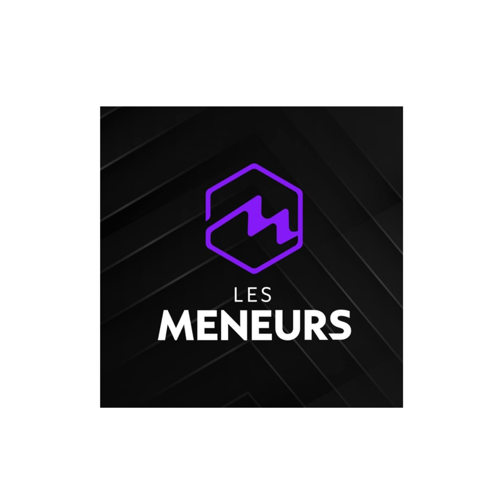 Les Meneurs