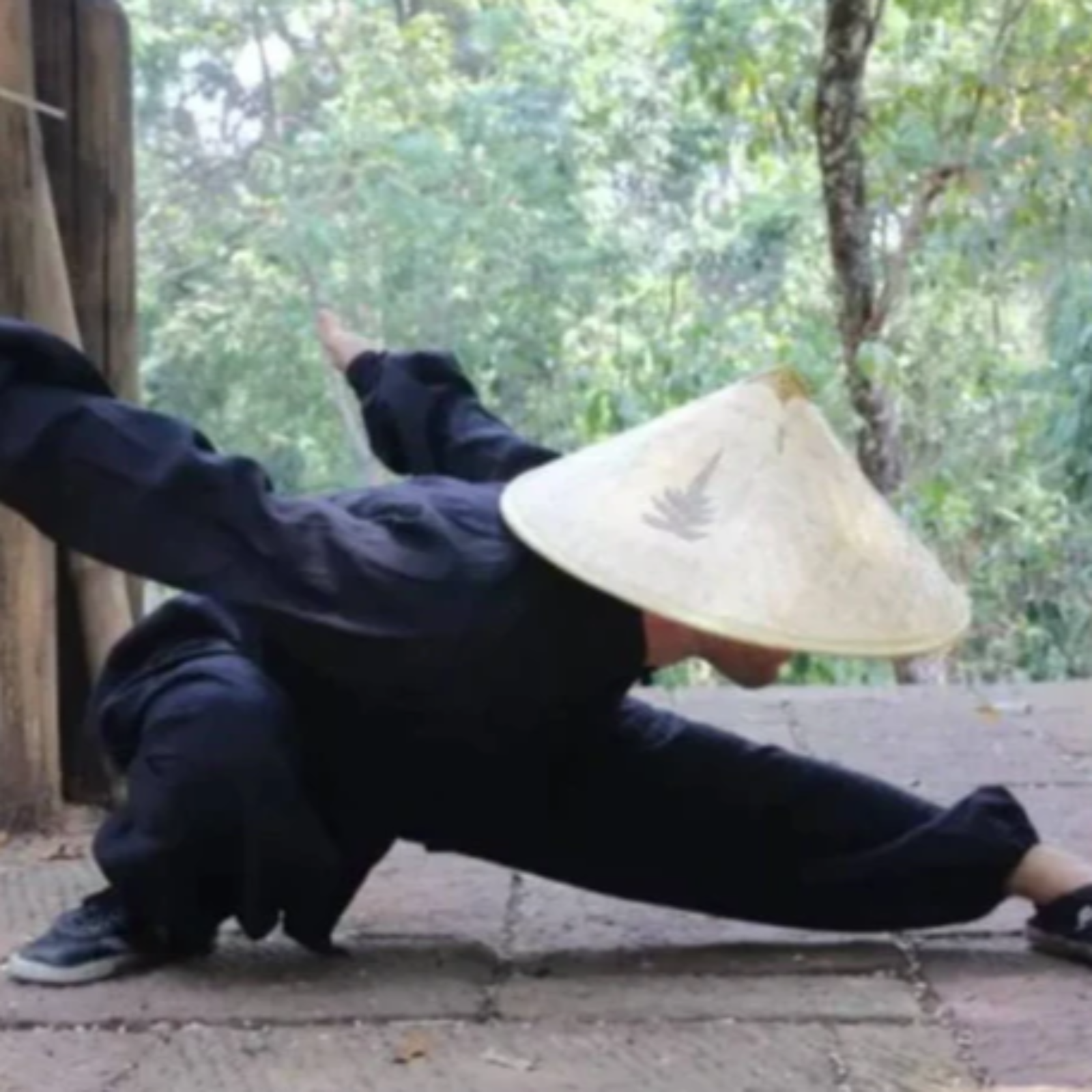 Tips From the Experts: Becoming a Professional Qigong Teacher episode artwork