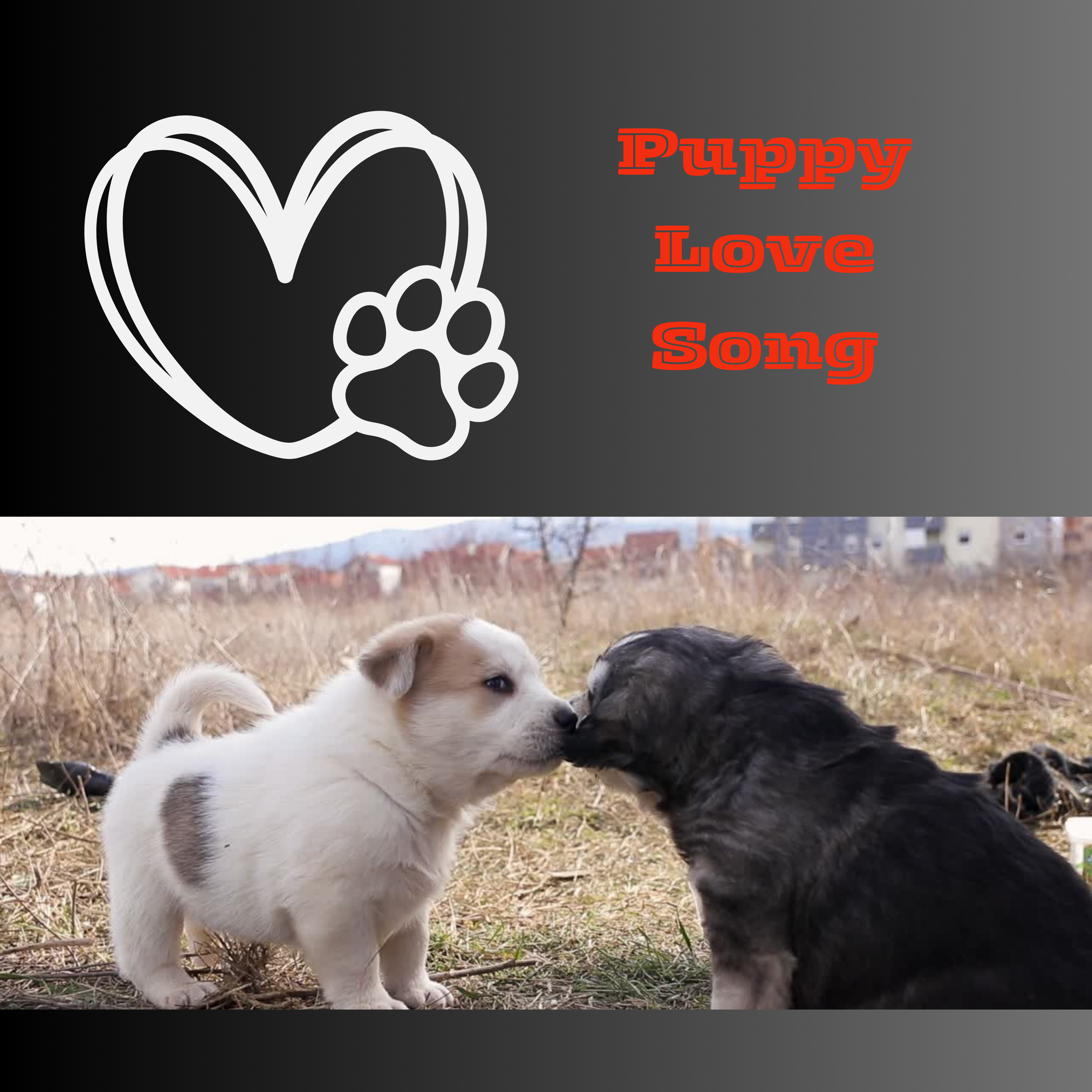 #Puppy Love Song: A Musical Exploration.