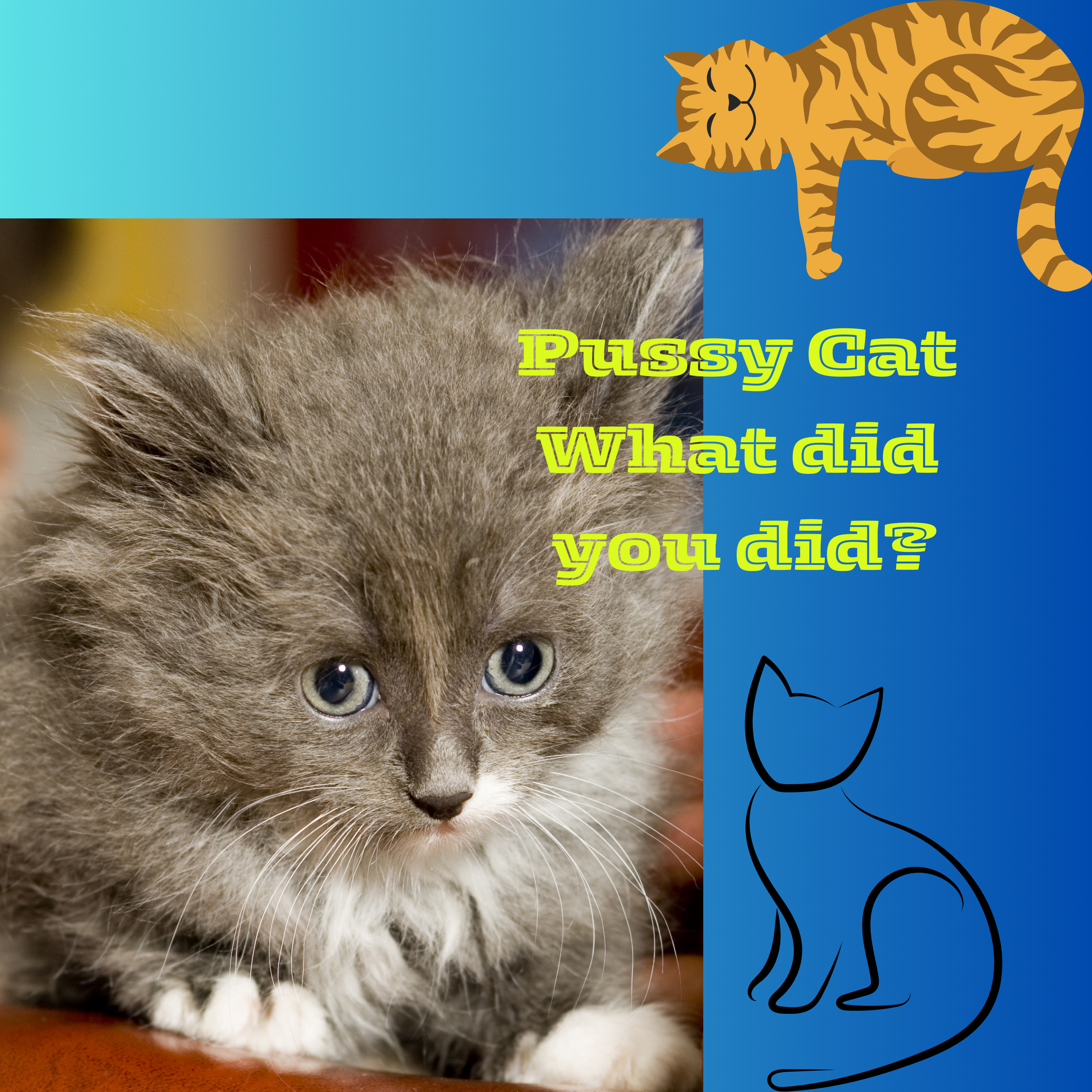 #Pussy Cat, Pussy Cat: A Nursery Rhyme Exploration.