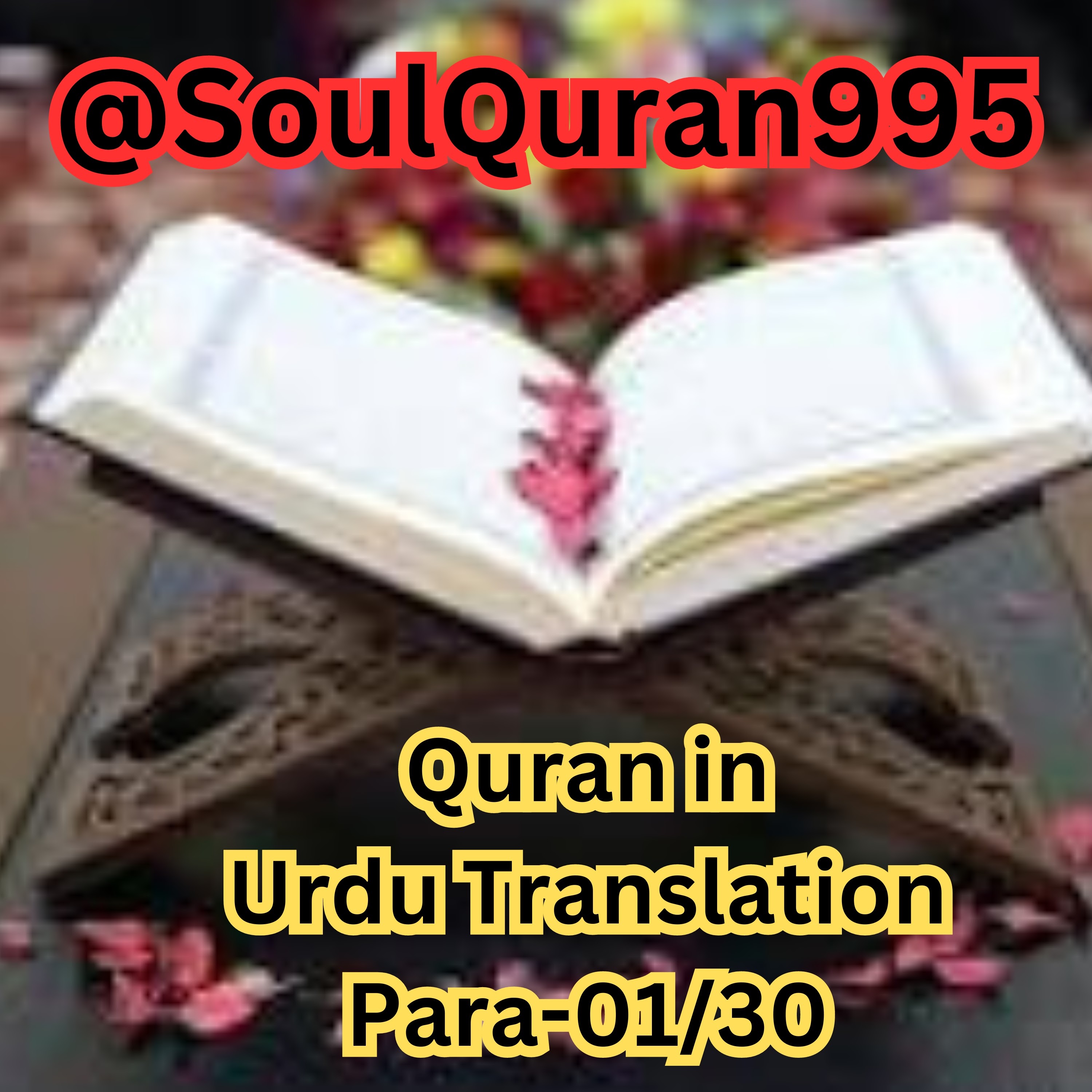 Quran in Urdu Translation Para-01/30 podcast artwork