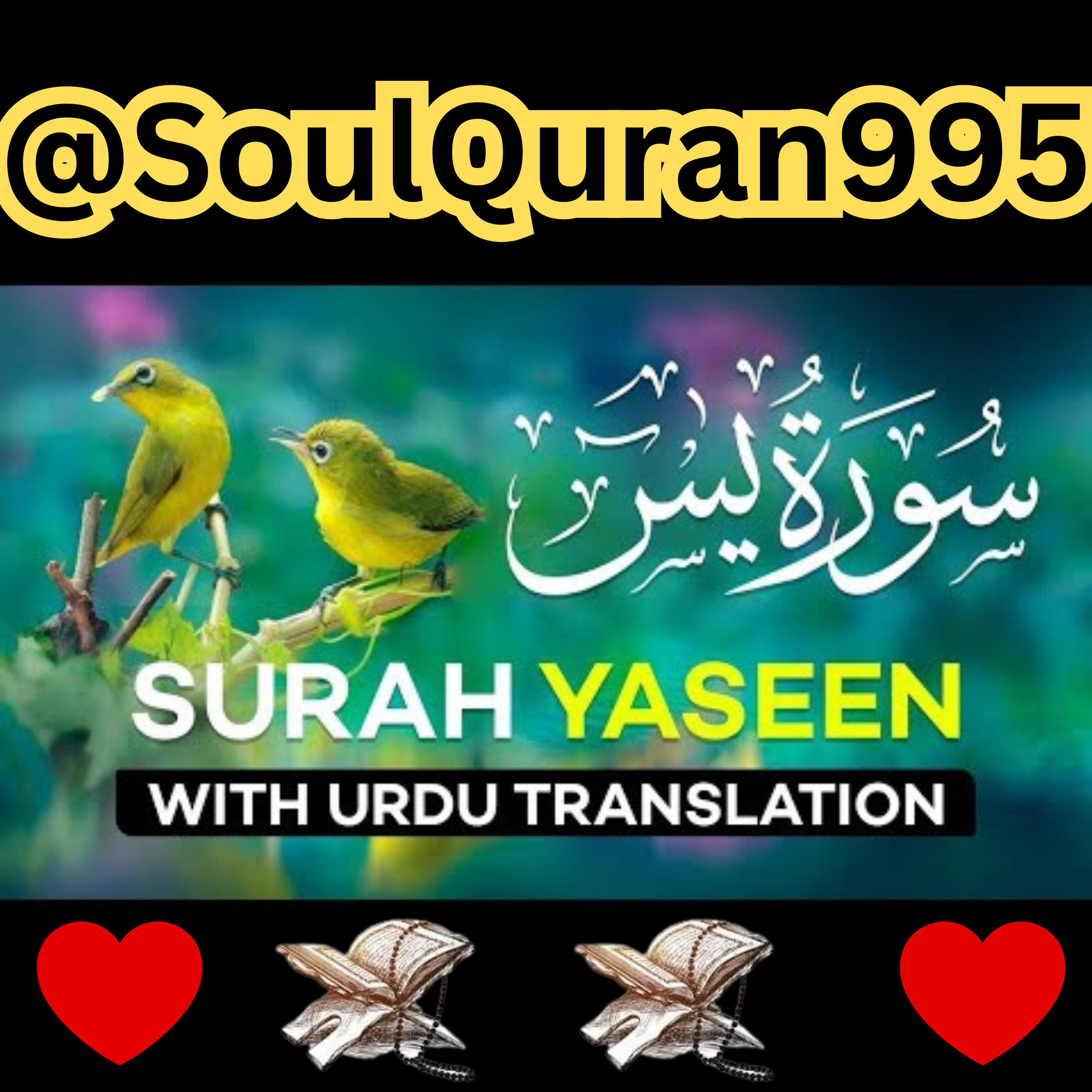 Surah Yasin ( Yaseen ) with Urdu Translation episode artwork