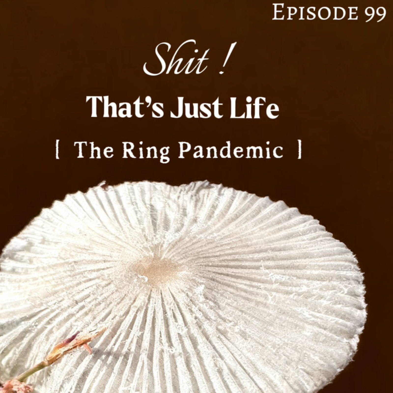 The Ring Pandemic episode artwork