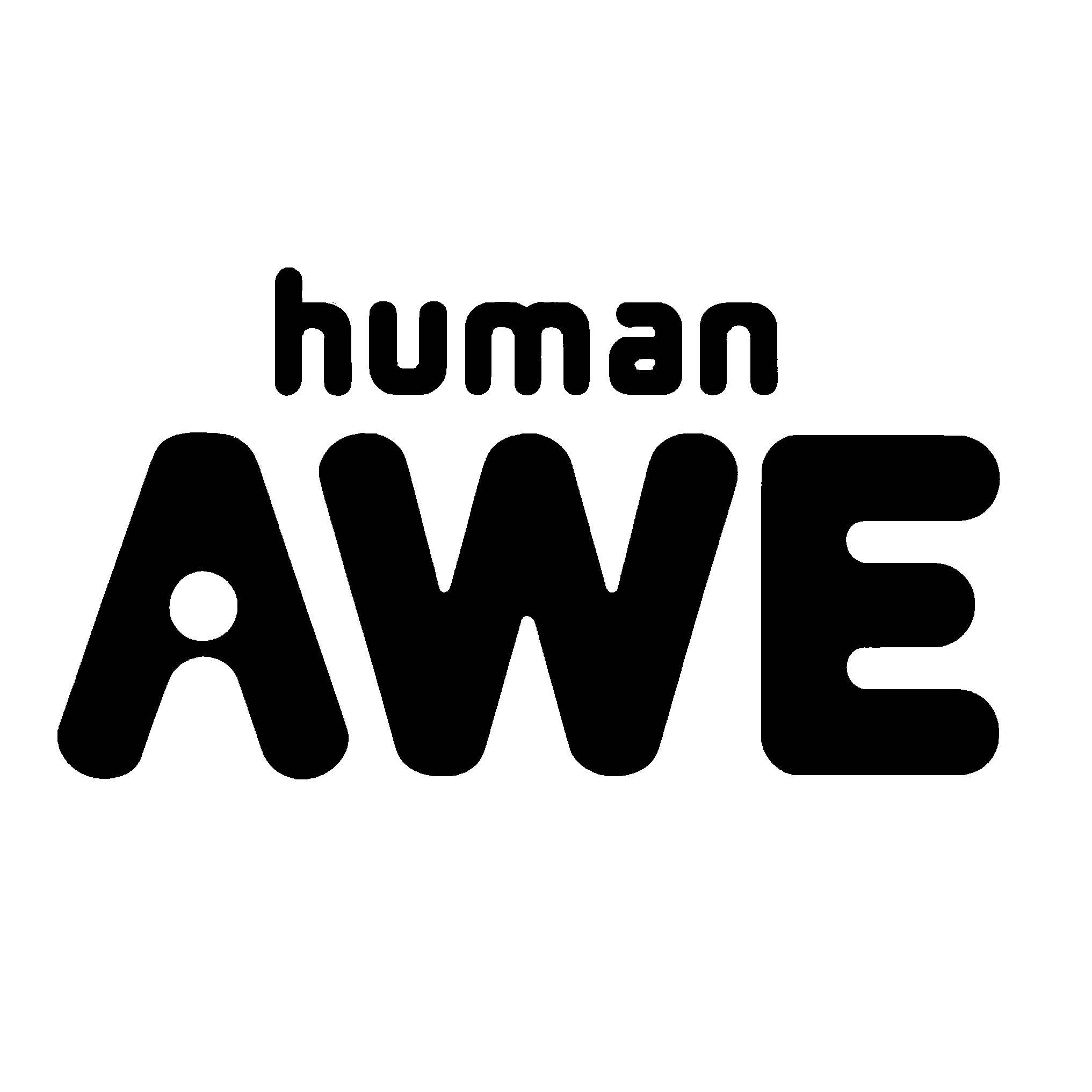 Augmented Wisdom Experiences