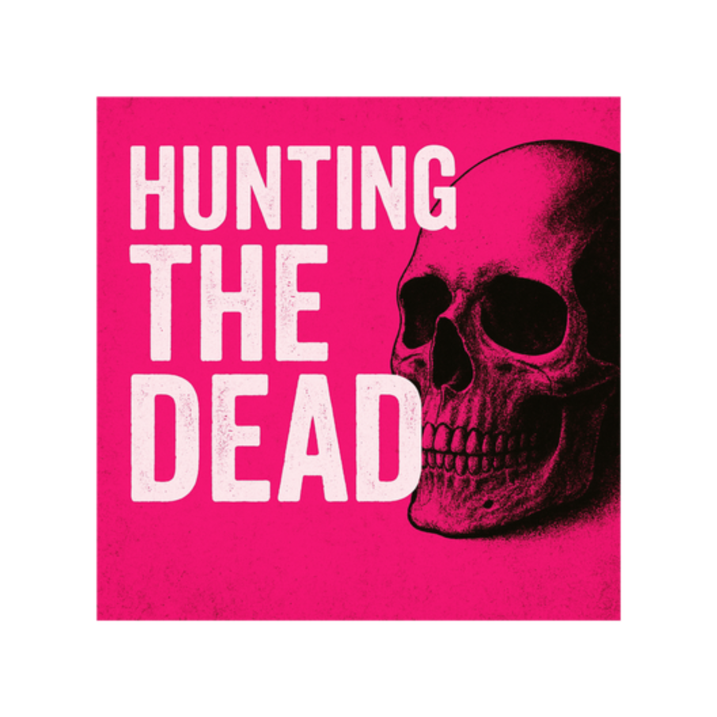 The Vanishing of Don Lewis: Lies, Tigers & the Truth Buried in Florida