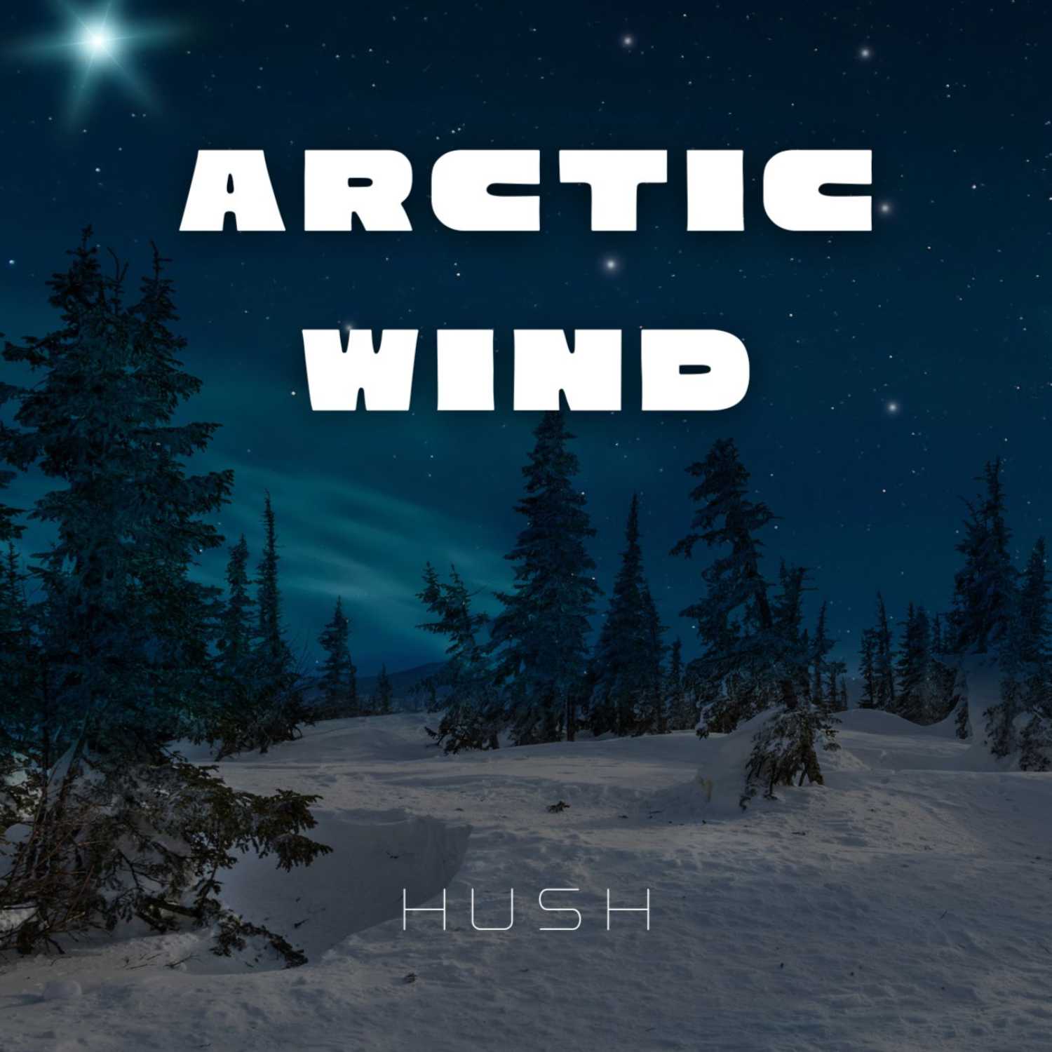 Arctic Wind Breeze Sleep Sounds | 8 Hour Ambient Sound for Sleep | Cold Wind Winter Sounds White Noise | Slumber 1 episode artwork
