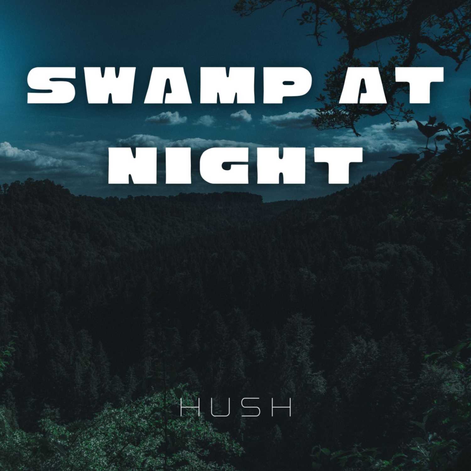 Swamp Sounds | 8 Hour Ambient White Noise for Sleep episode artwork