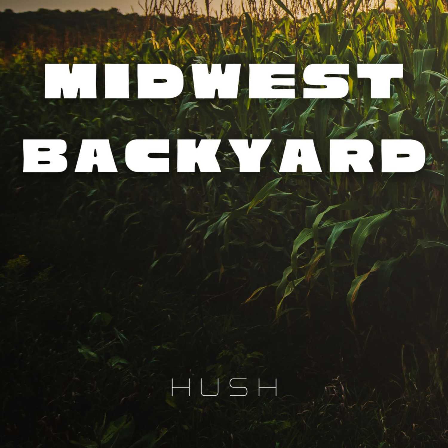 Prairie Sounds for Sleeping 8 Hours Ambiance | Midwestern Backyard Corn Field Sounds | Calming and Soothing episode artwork