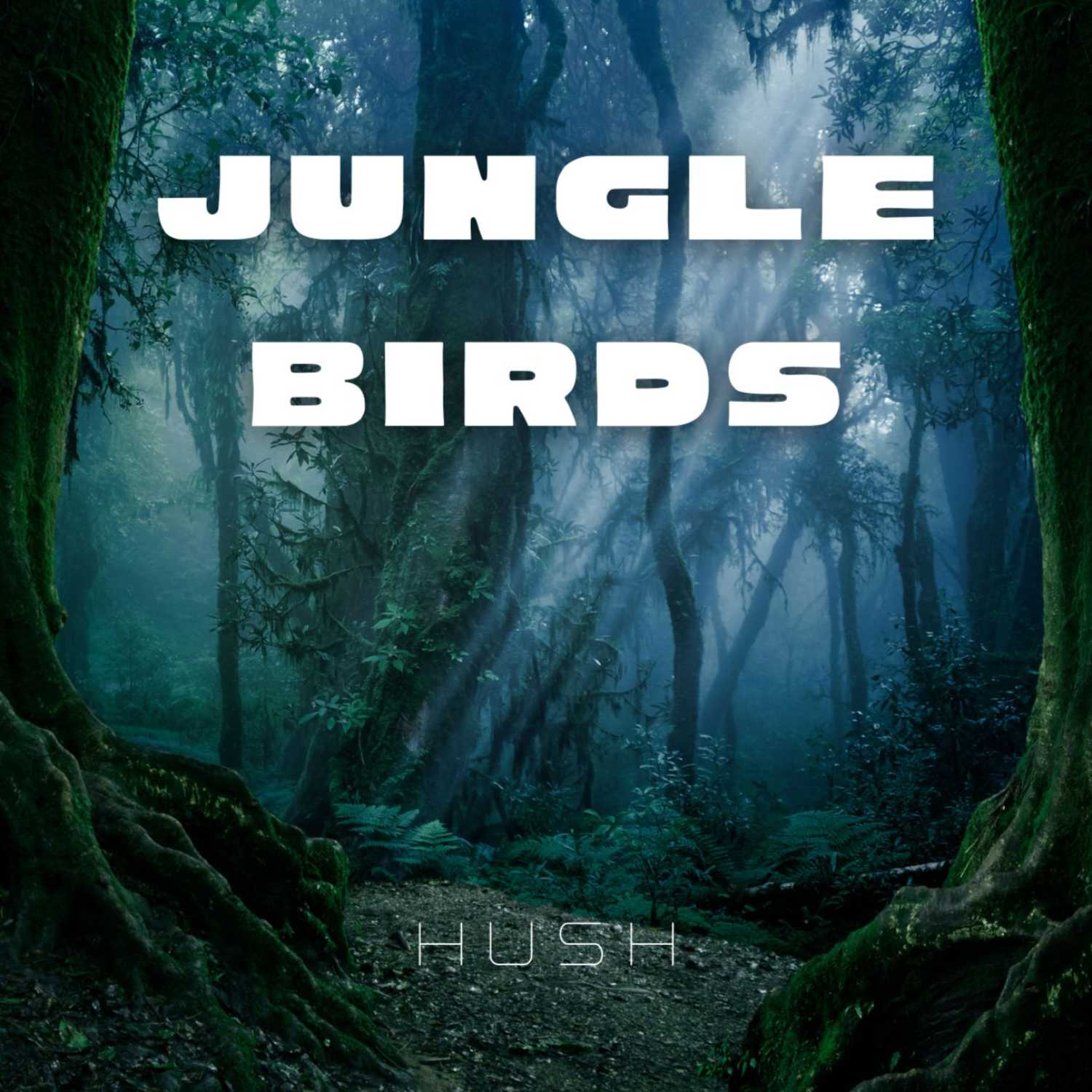 Jungle Birds 8 Hour Meditation Sleep Sound | Soothing Rain and Jungle Birds | Low Vibration Sleep White Noise episode artwork