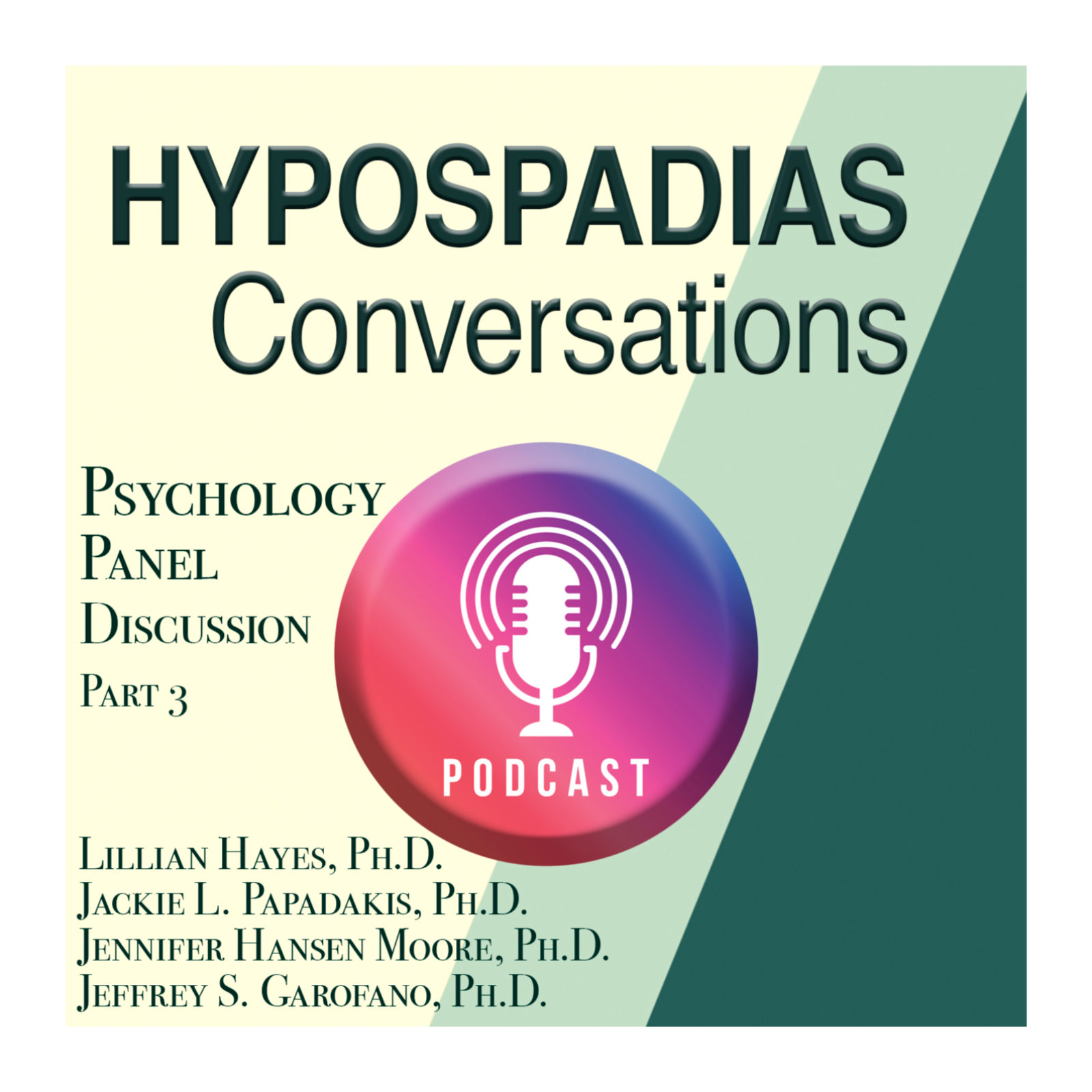Third Part of a Three Part Series with Four Leading Psychologists Talking About Hypospadias and Emotions episode artwork