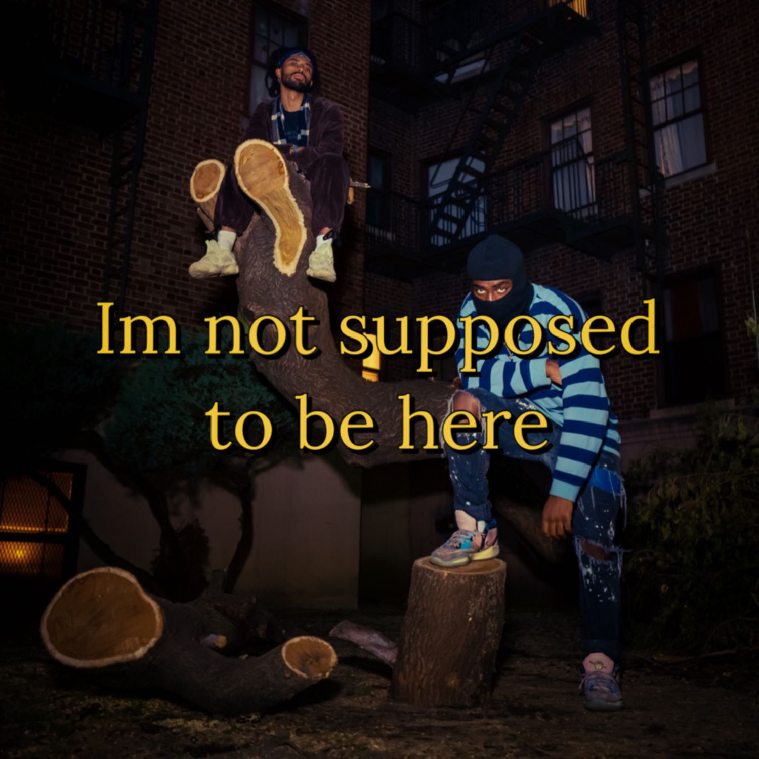 cover of episode Project Apparitions(We Stand on Business) 