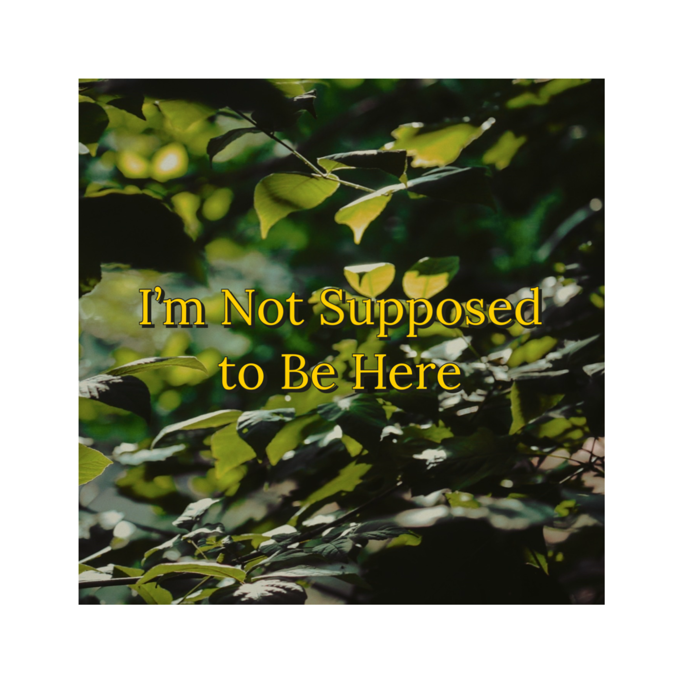 cover of episode The Art of Being Present