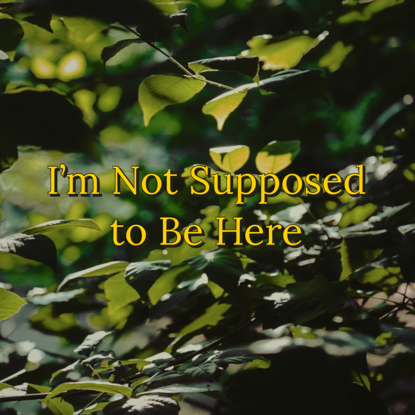 I\'m Not Supposed to Be Here
