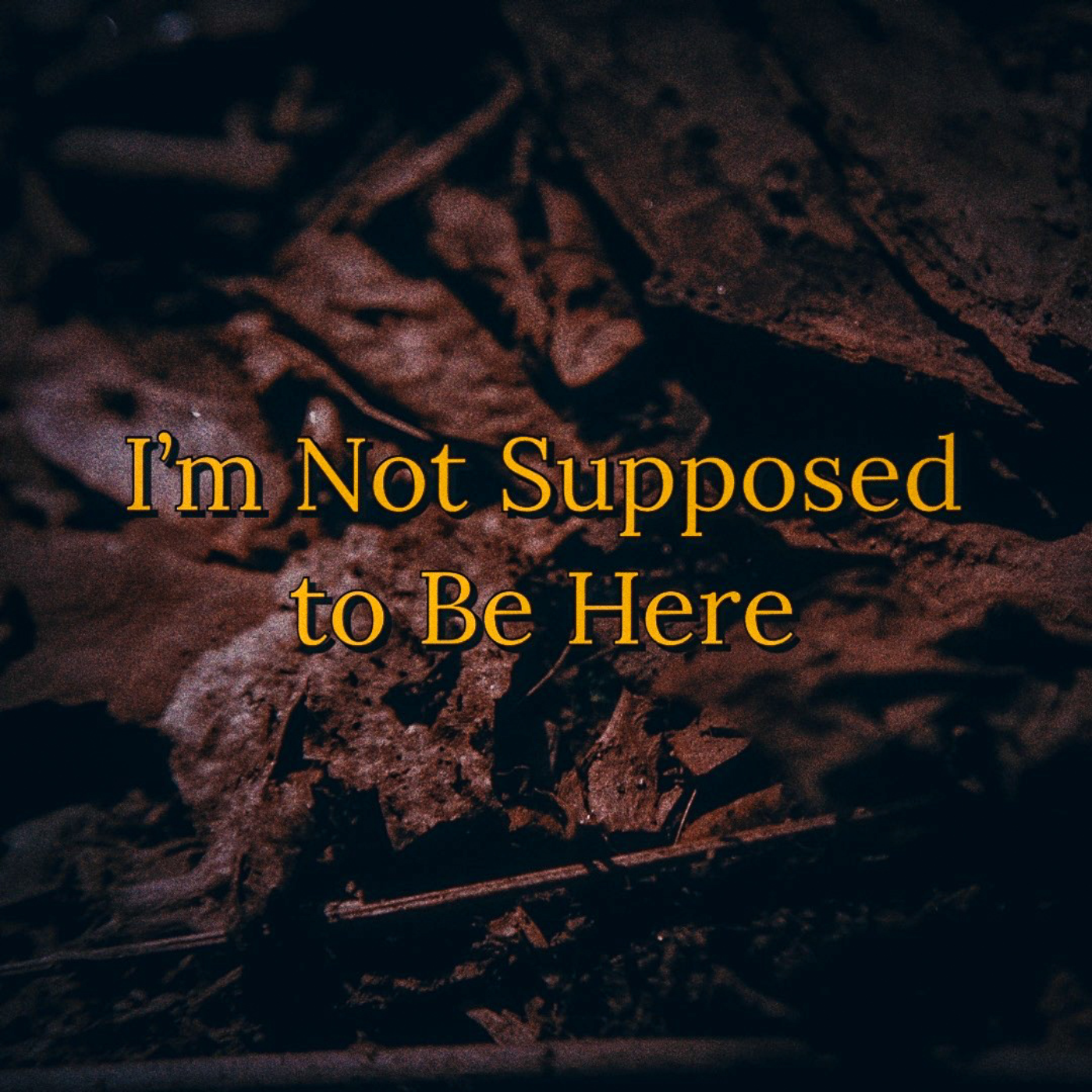 I\'m Not Supposed to Be Here
