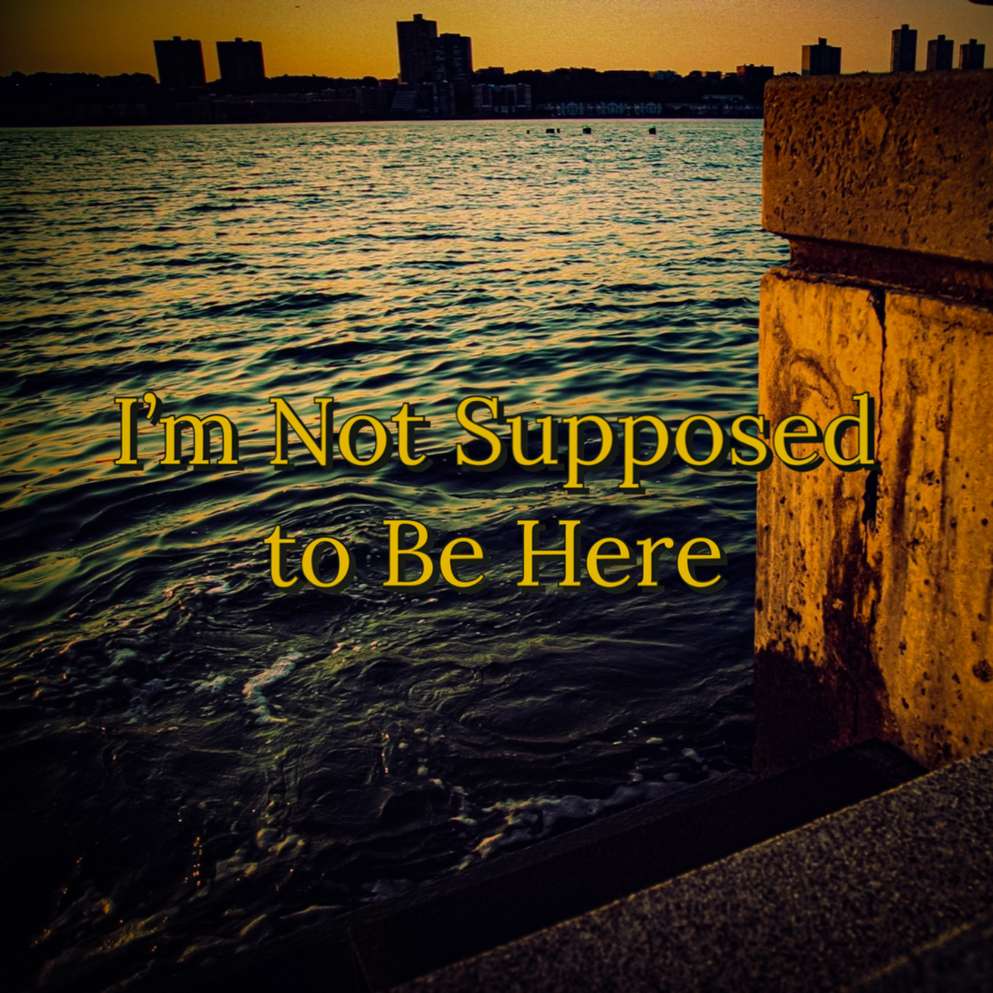 cover of episode The Pursuit of Purpose