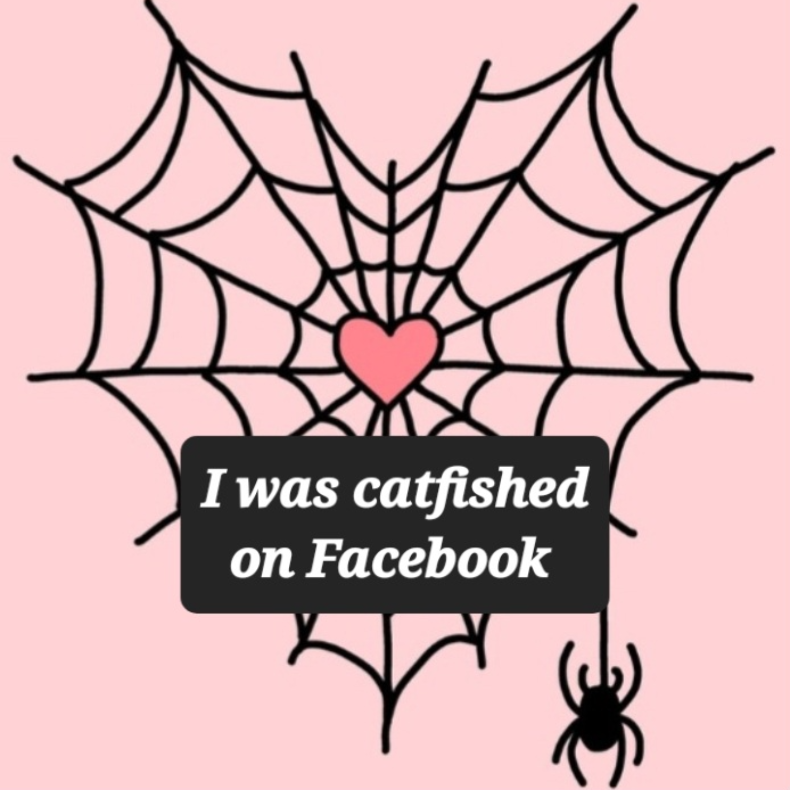 I got catfished on Facebook episode artwork