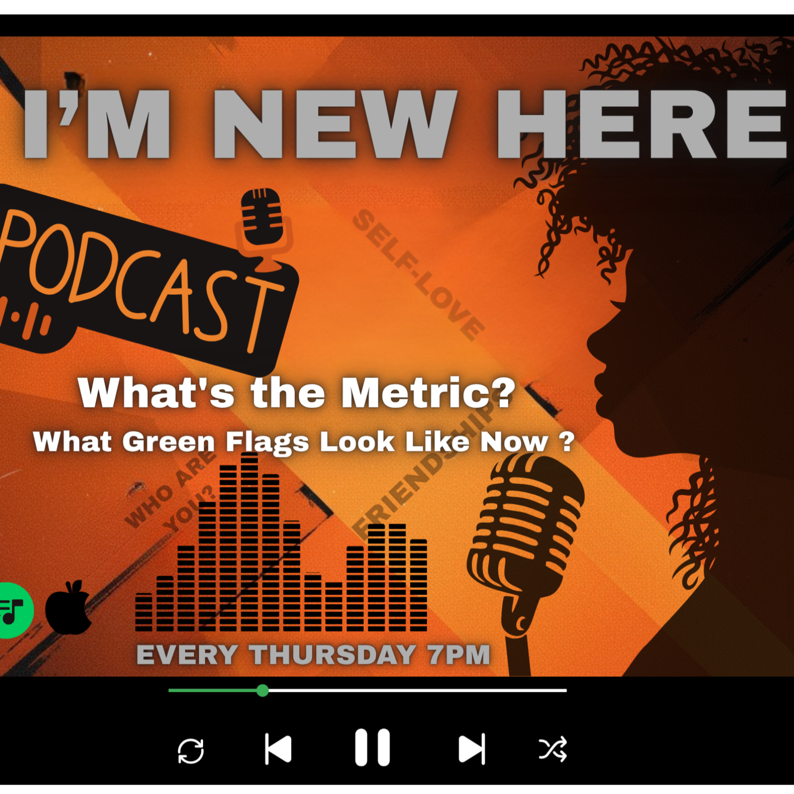 What's the Metric? What Green Flags Look Like Now episode artwork