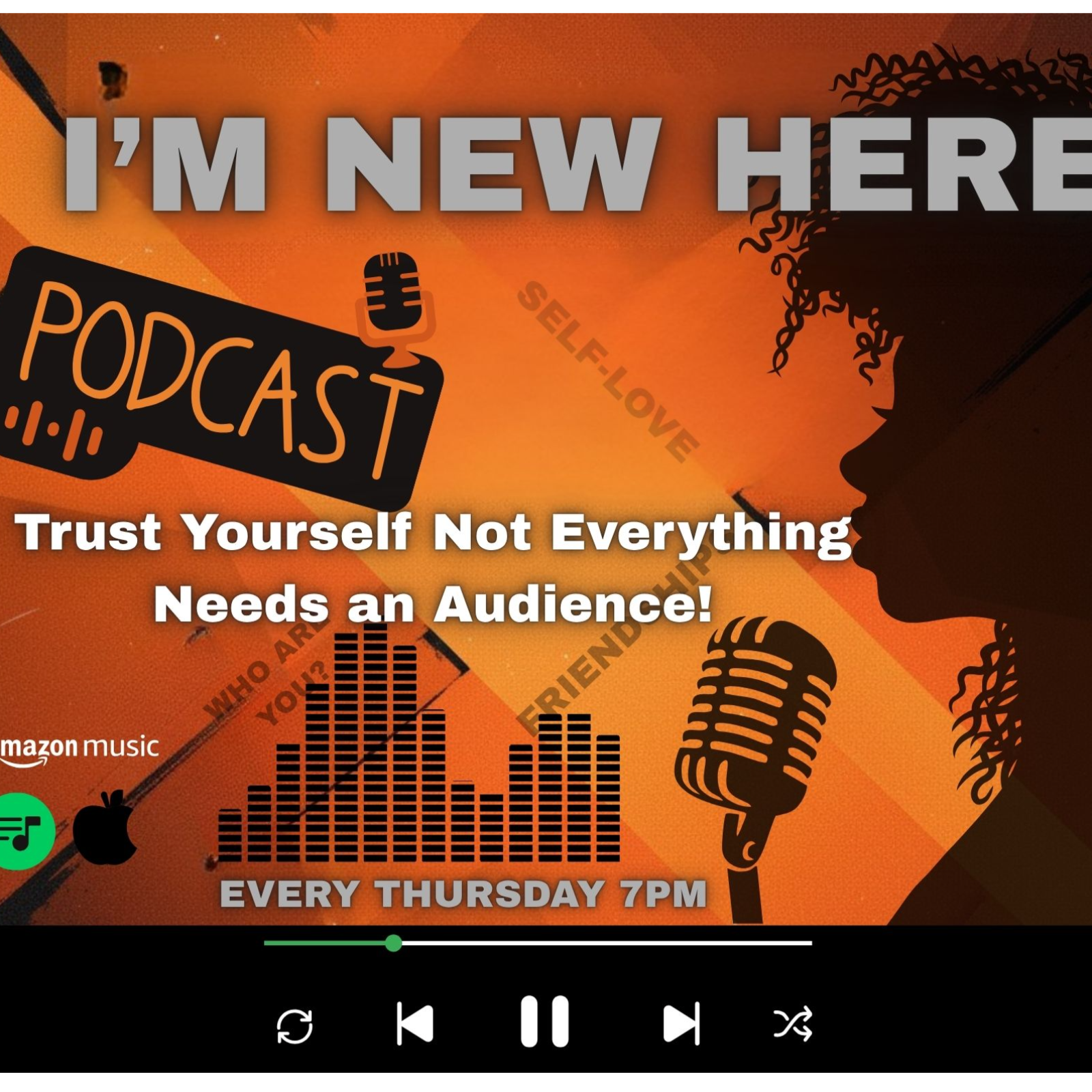 Trust Yourself: Not Everything Needs an Audience episode artwork