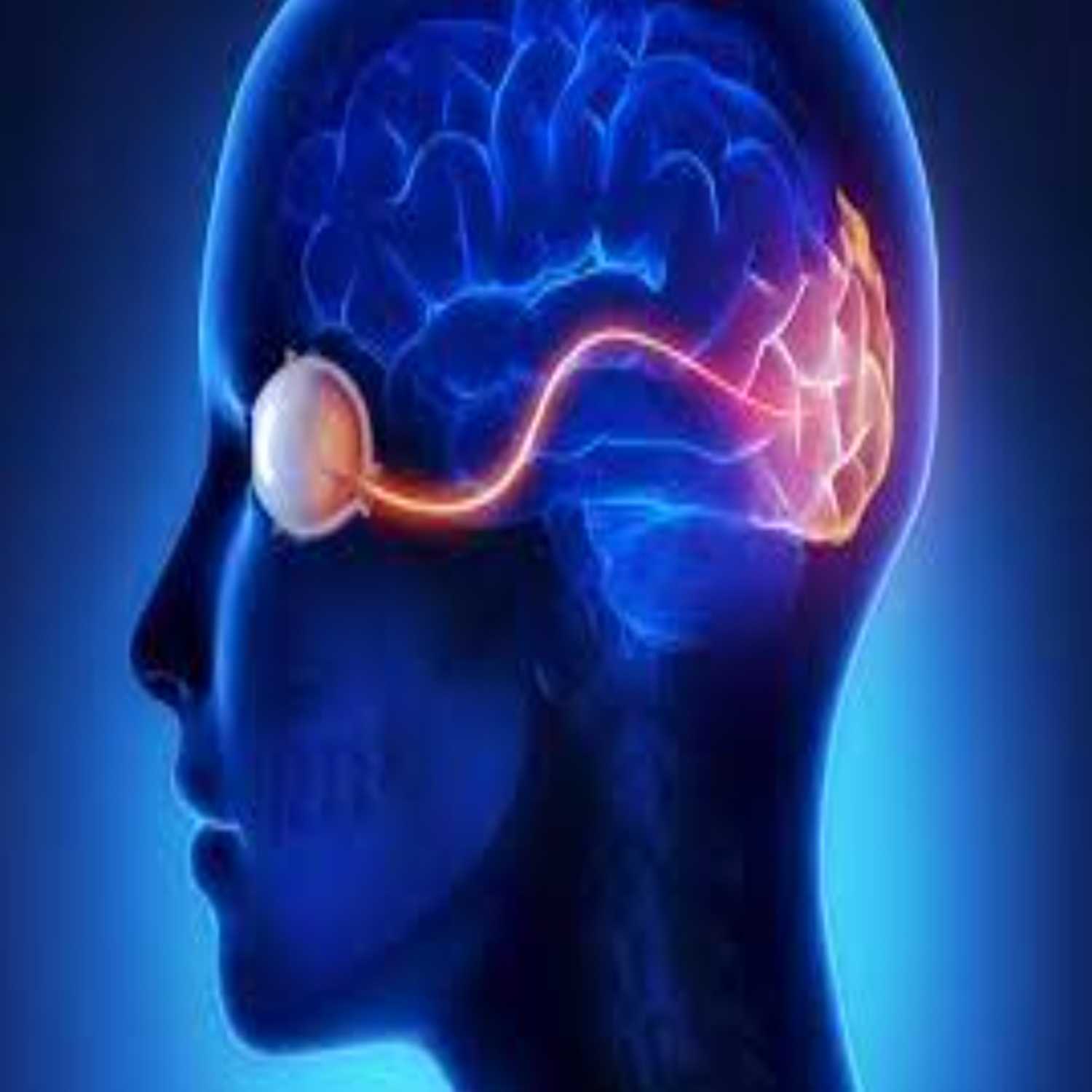 INTELIGENCIA ARTIFICIAL: A PERAS Y MANZANAS