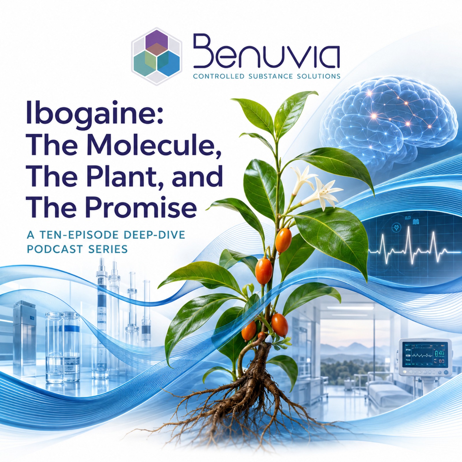Ibogaine: The Molecule, The Plant, and The Promise