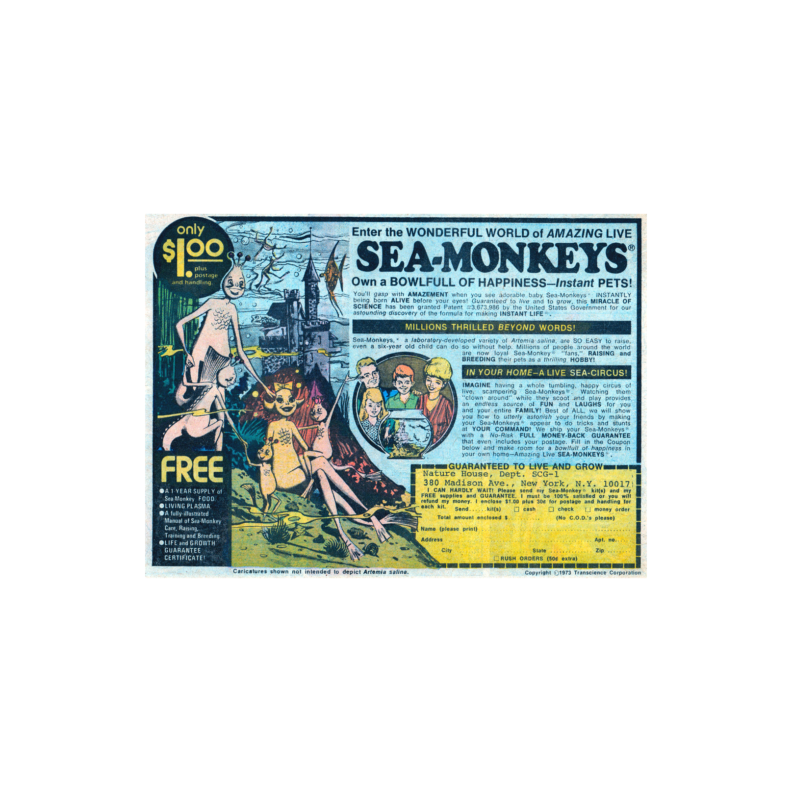 Sea Monkeys! episode artwork