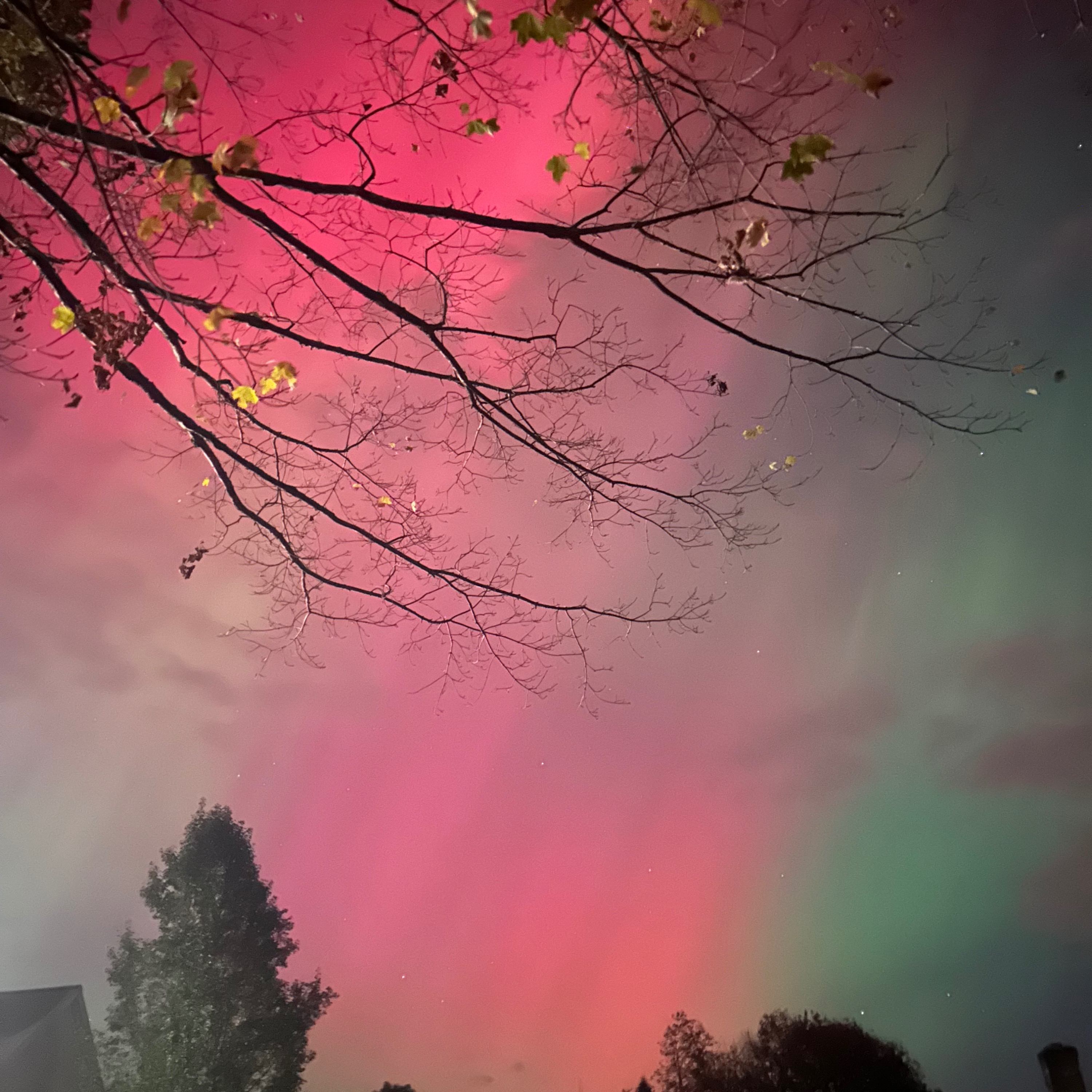 IETEVOLVE Everyday Earthing & Energy Wisdom